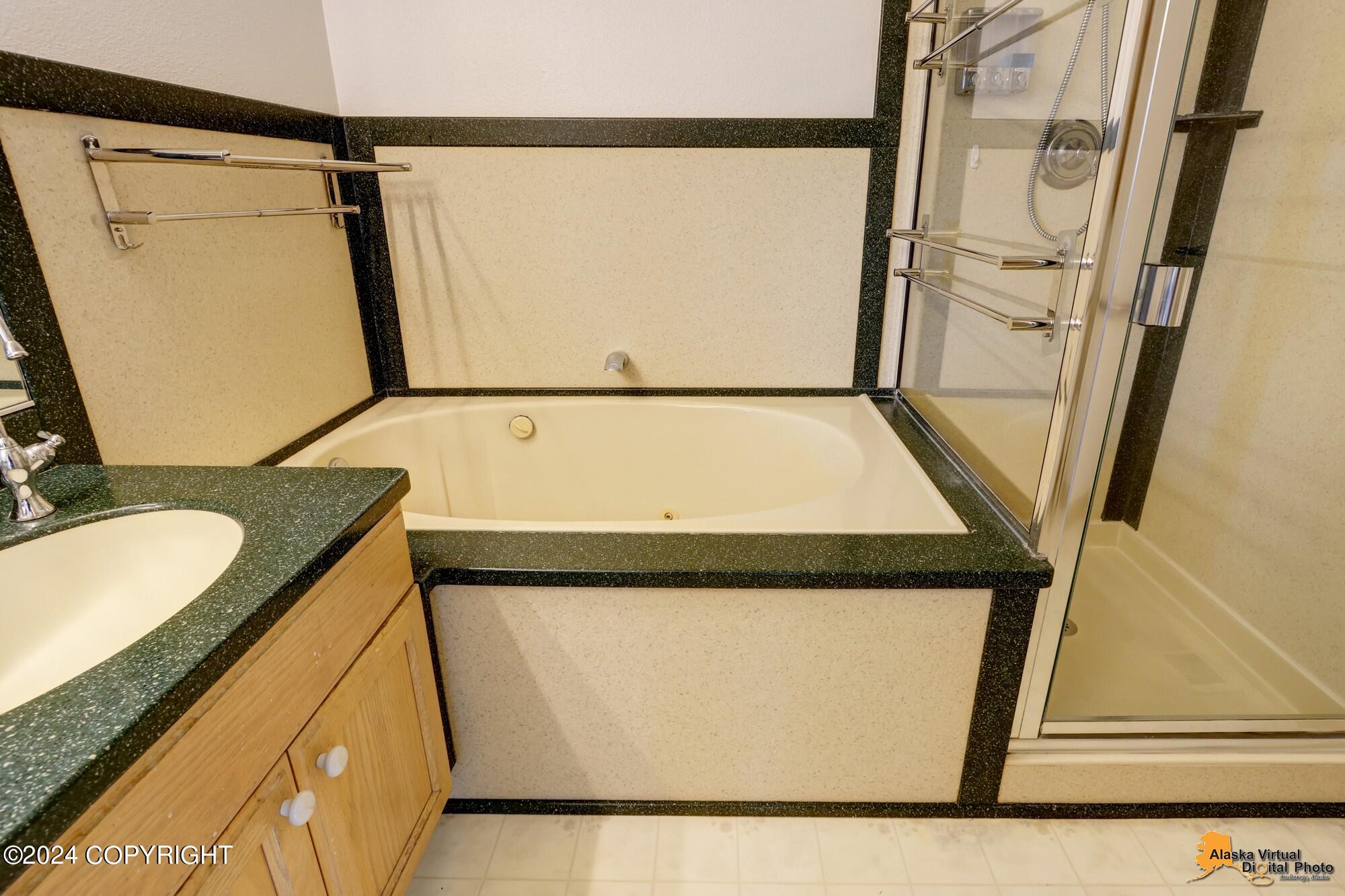 12530 Snowbird Drive