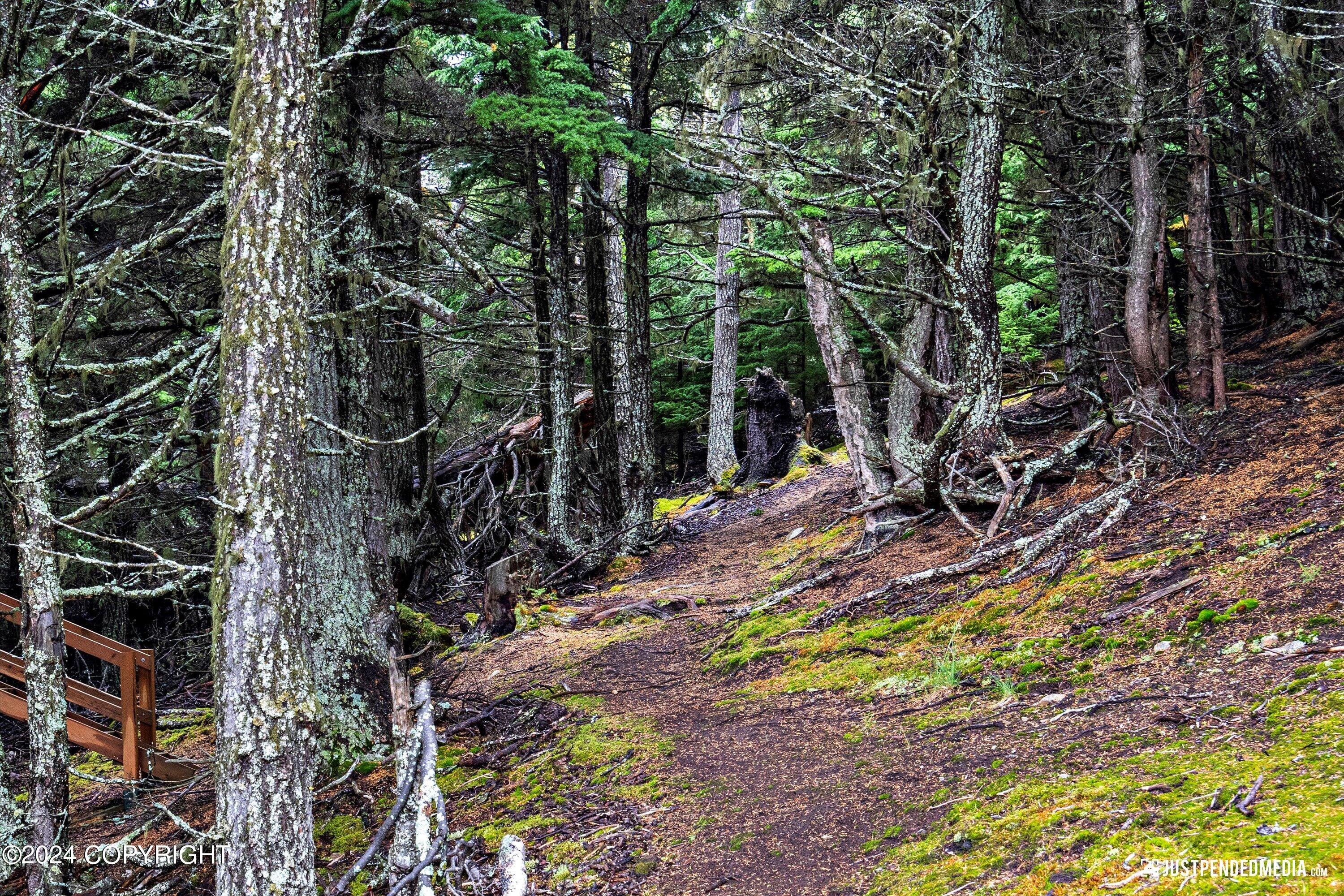 17401 Mt. McKinley Drive