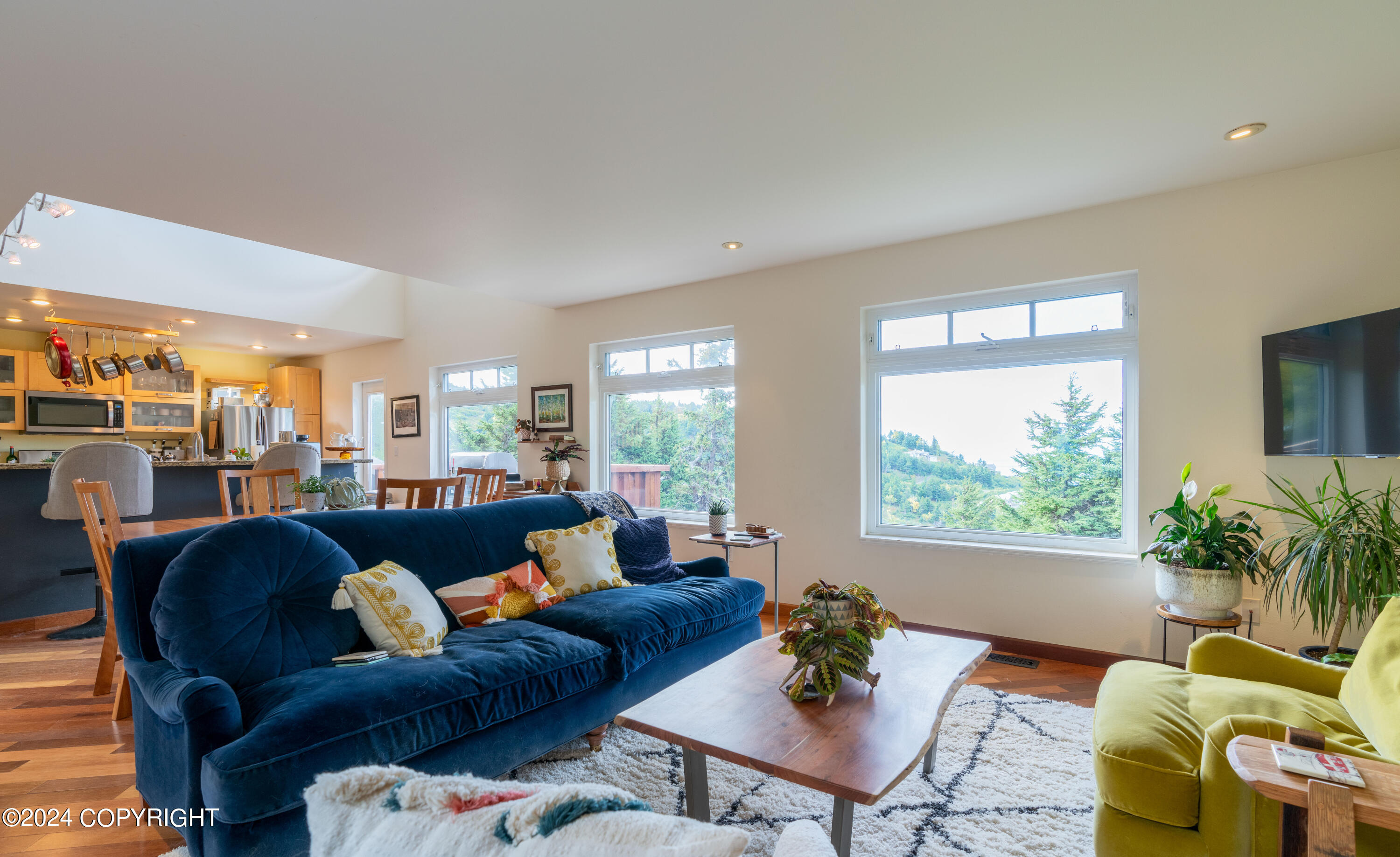 17401 Mt. McKinley Drive