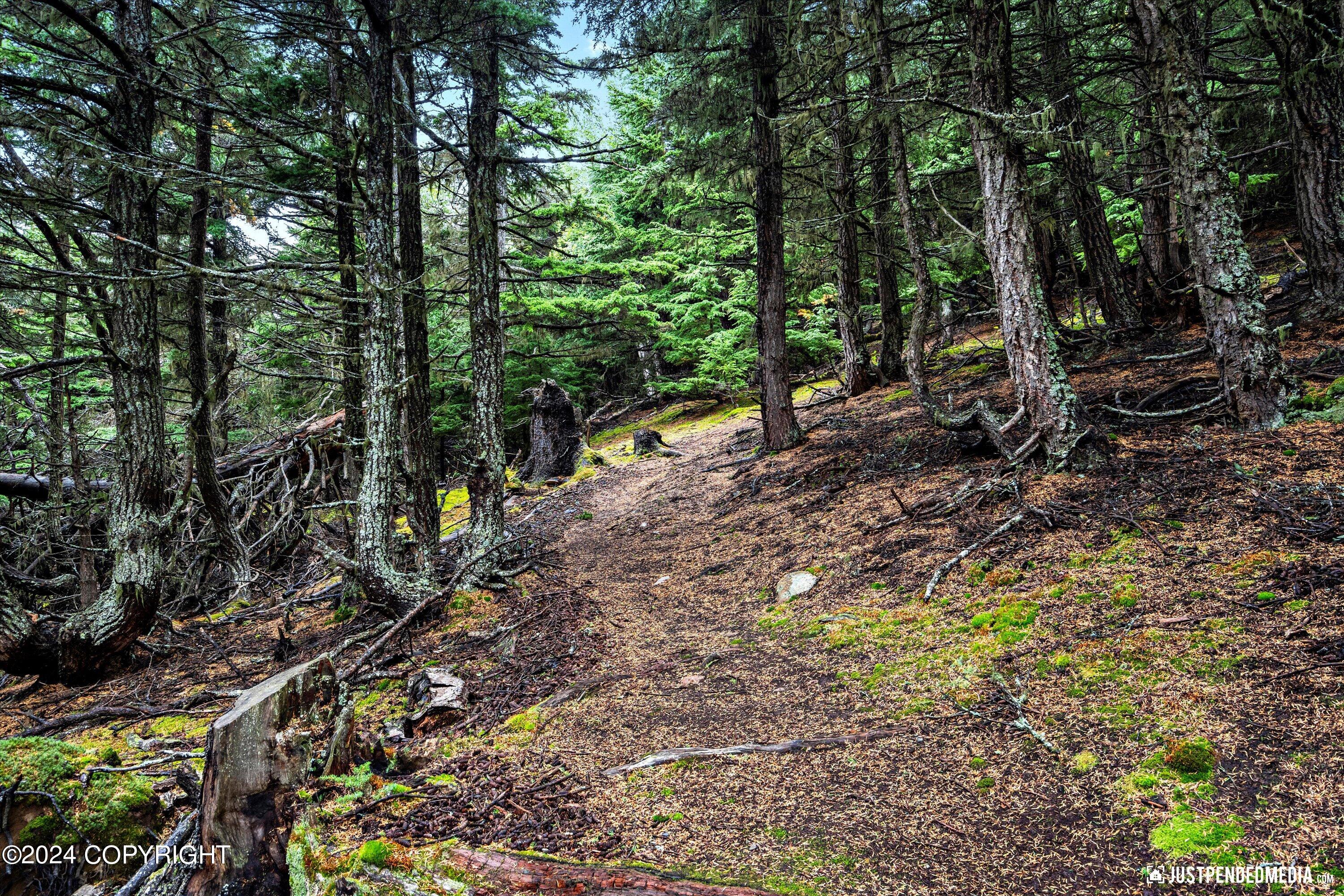 17401 Mt. McKinley Drive