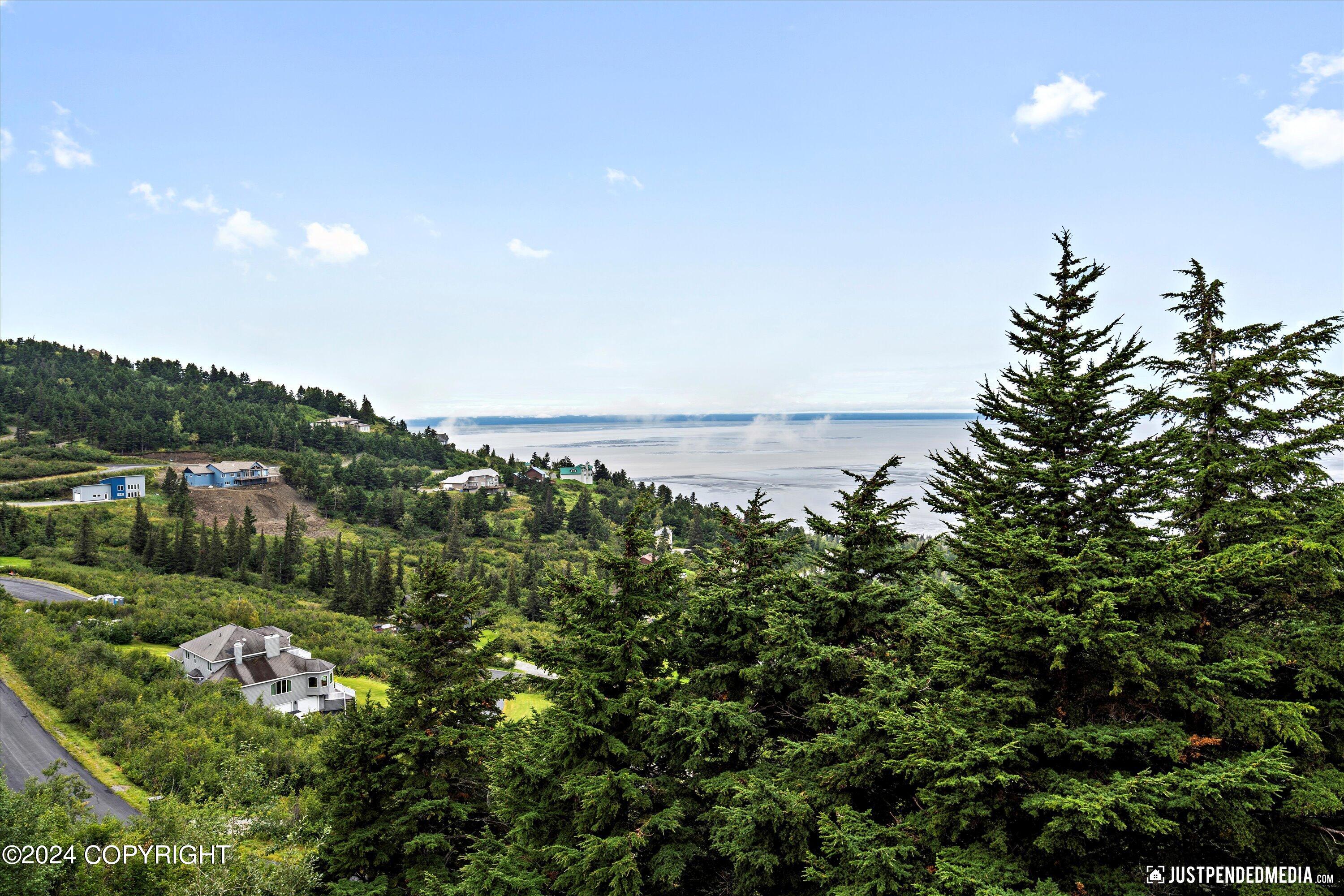 17401 Mt. McKinley Drive