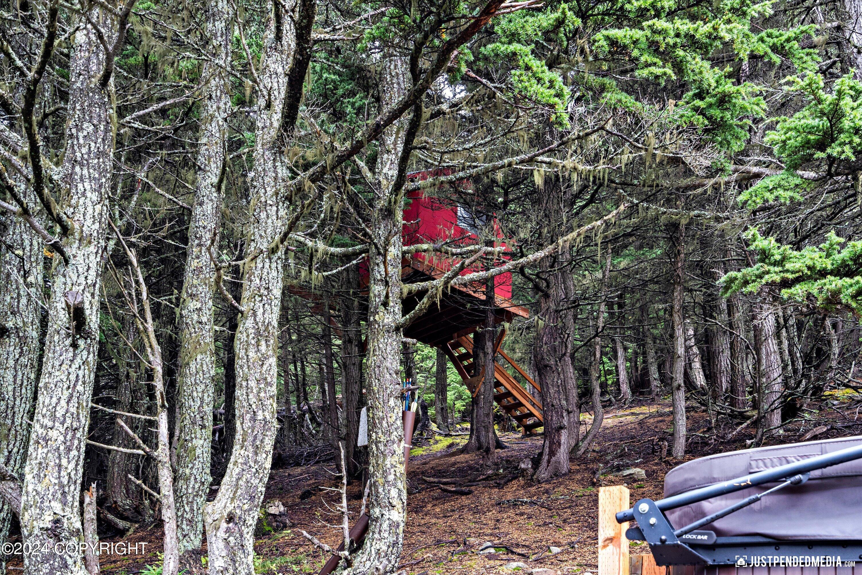 17401 Mt. McKinley Drive