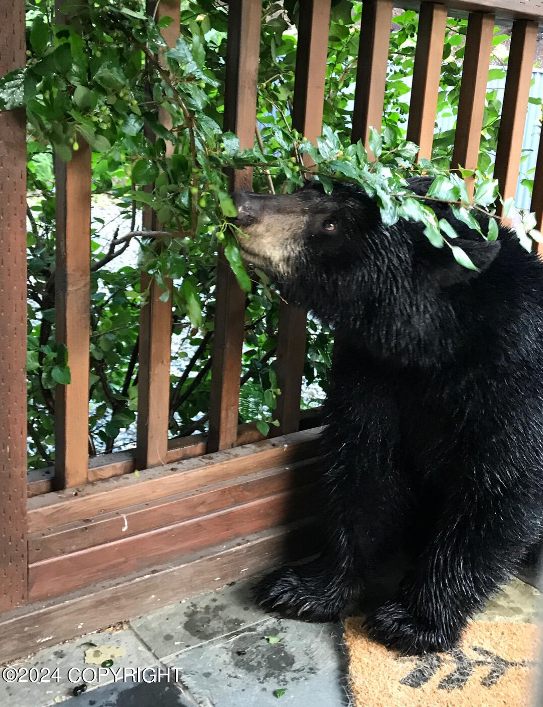 17401 Mt. McKinley Drive