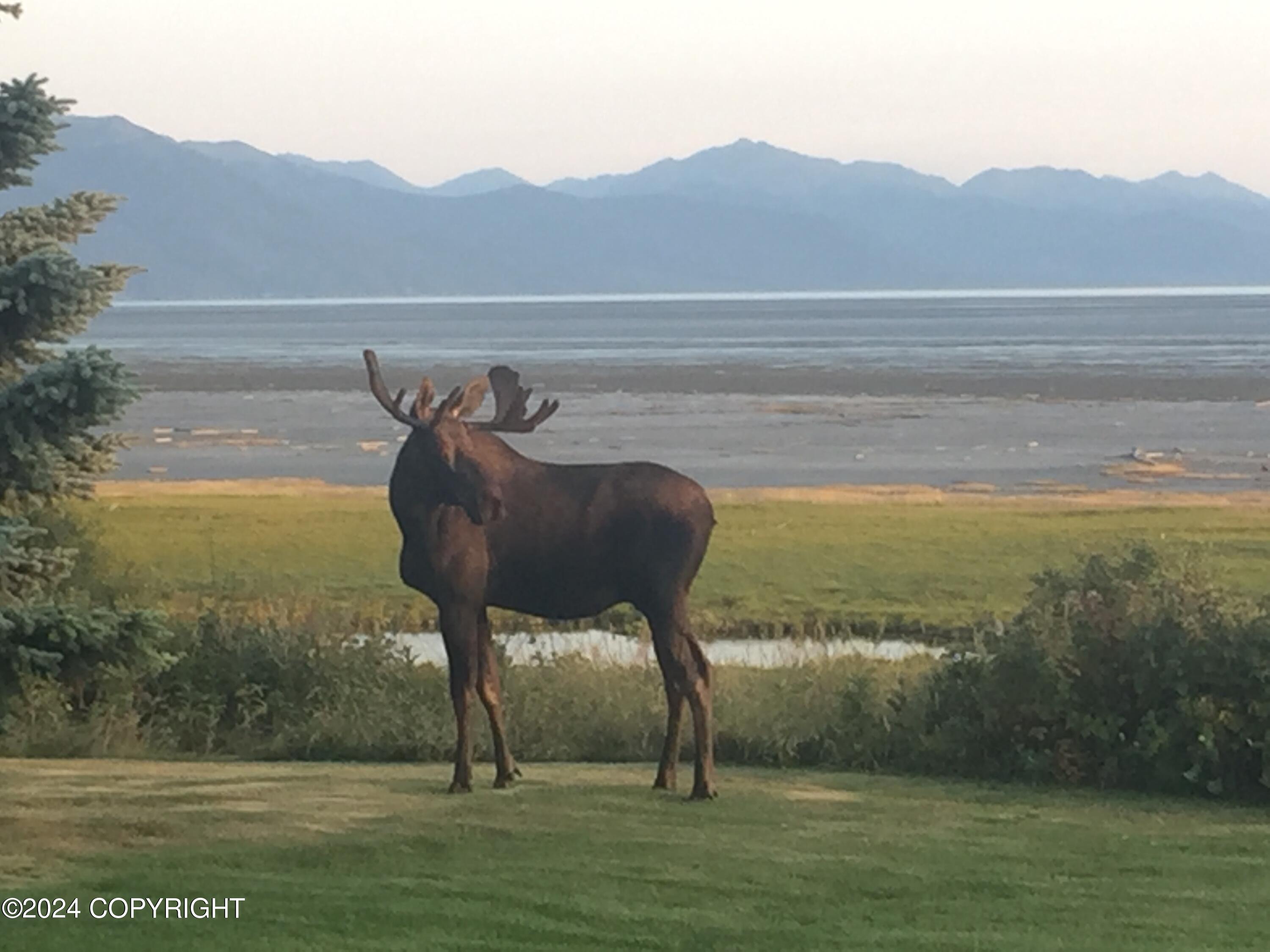 2526 Ridge Pointe Drive