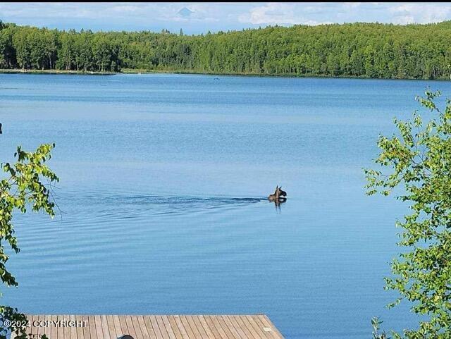 22441 Mirror Lake Drive