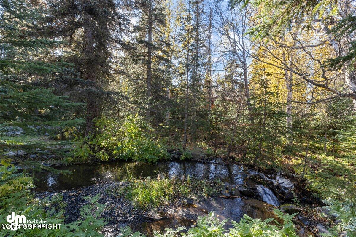 6350 Rockridge Drive