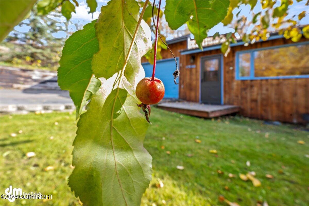 17138 Santa Maria Drive