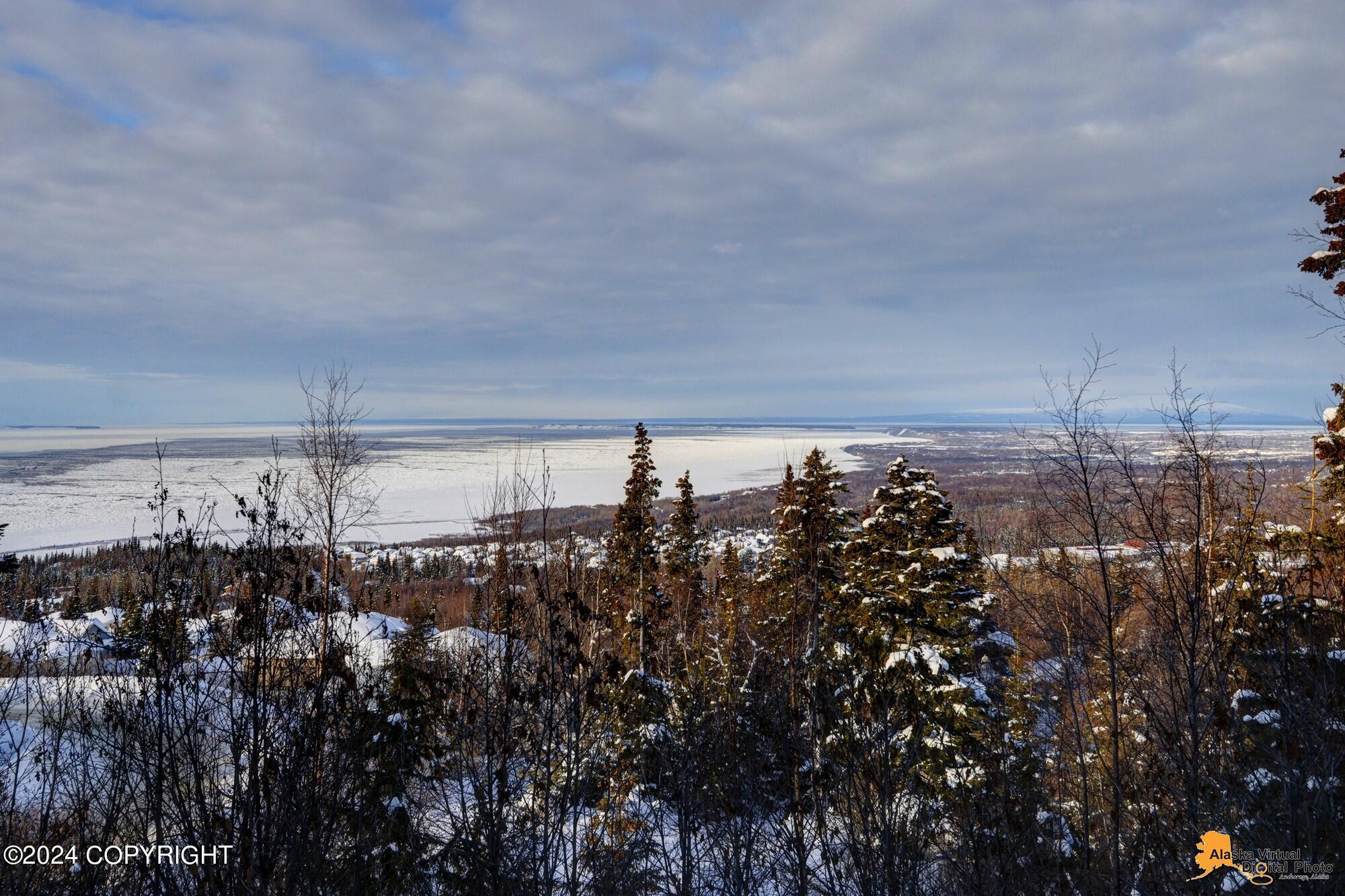 16655 Waterford Pointe Circle