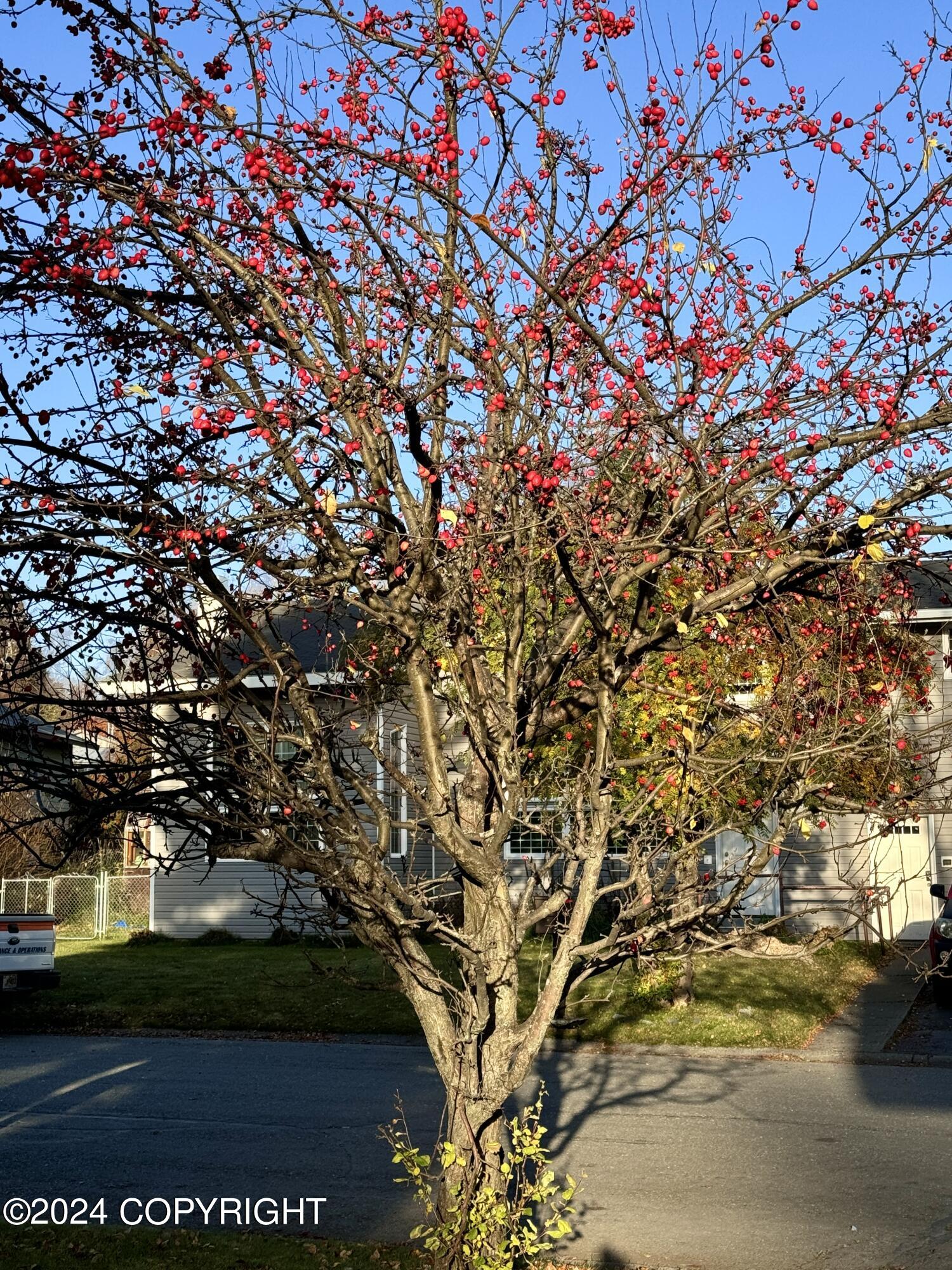 7160 Dawn Drive