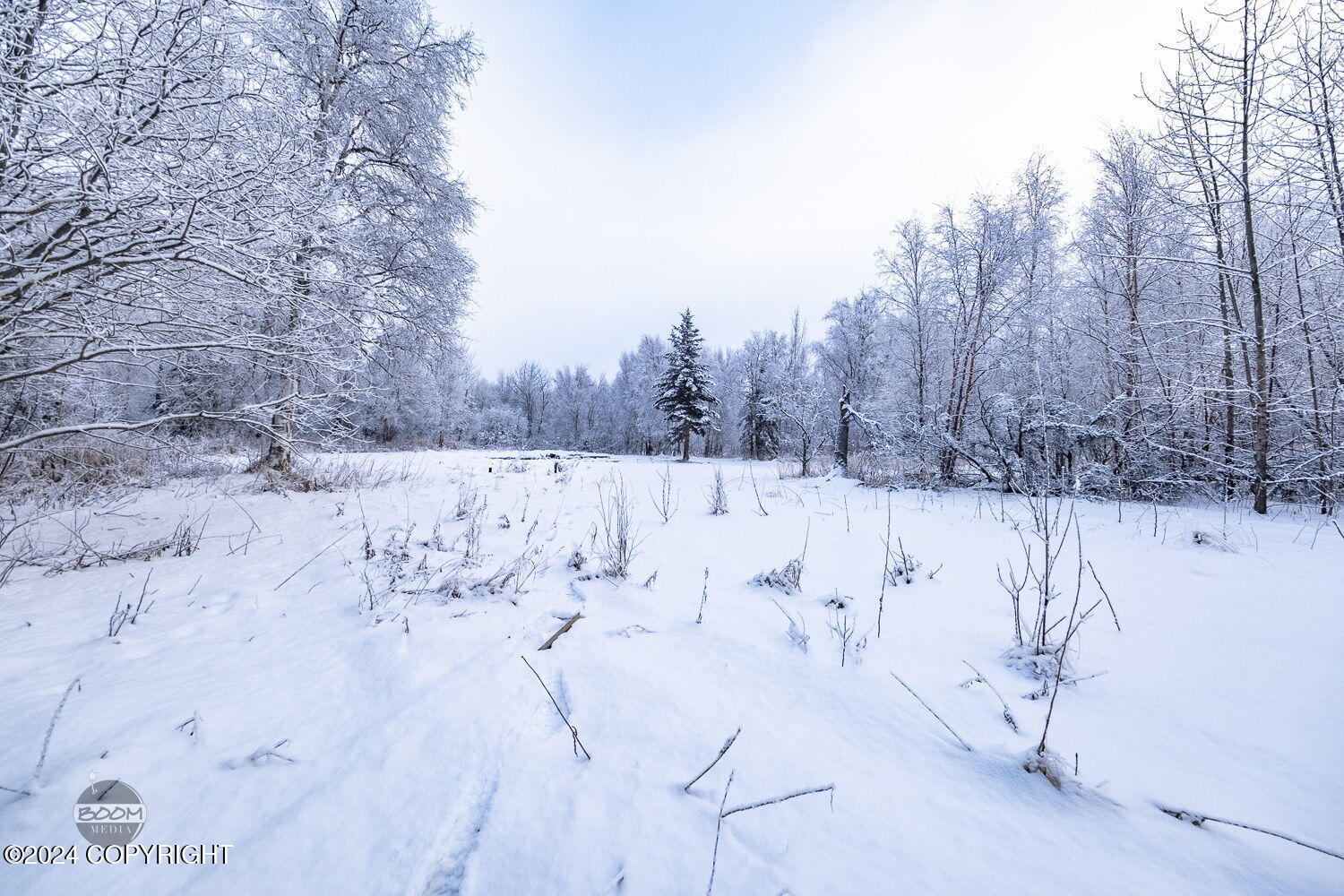 1255 N Little Brook Lane