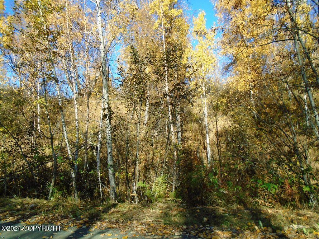 17663 W New Homestead Avenue