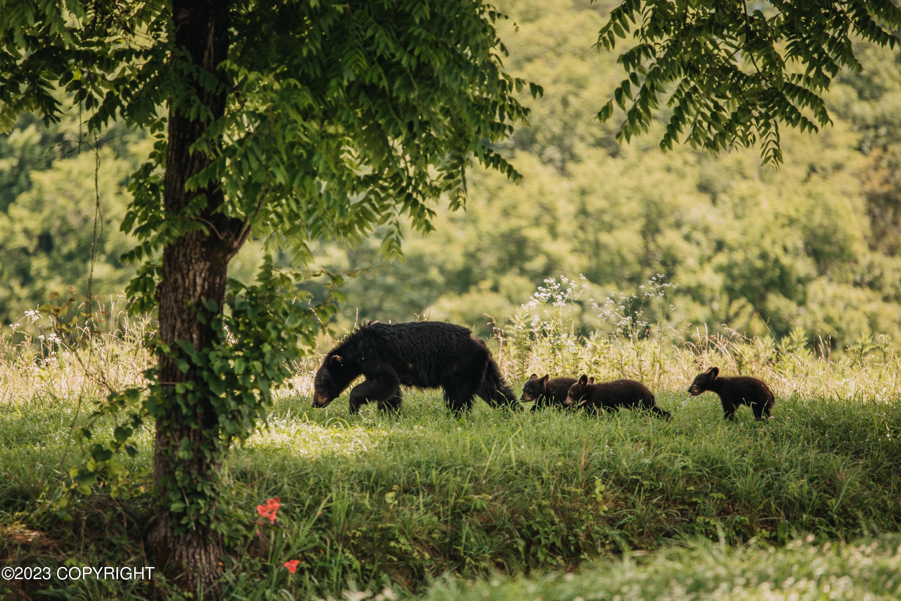 L6 B12 Prince William Court