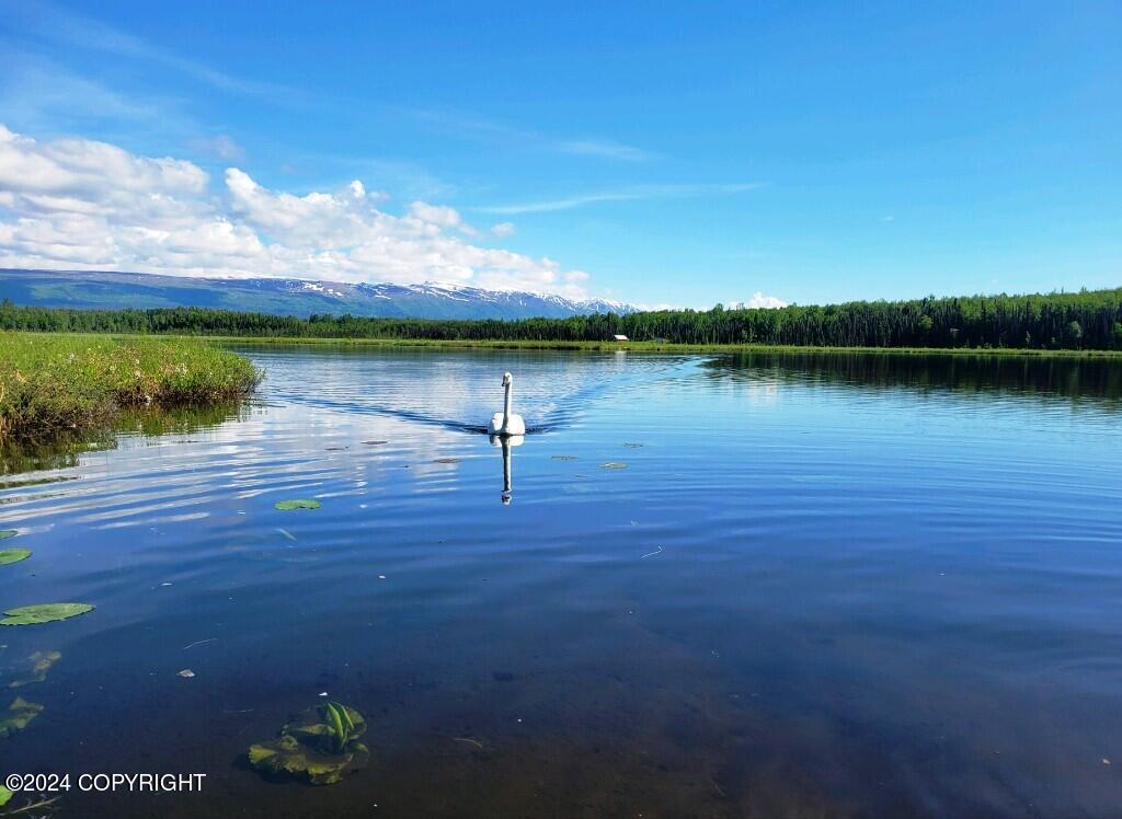 2291 N Meadow Lakes Loop