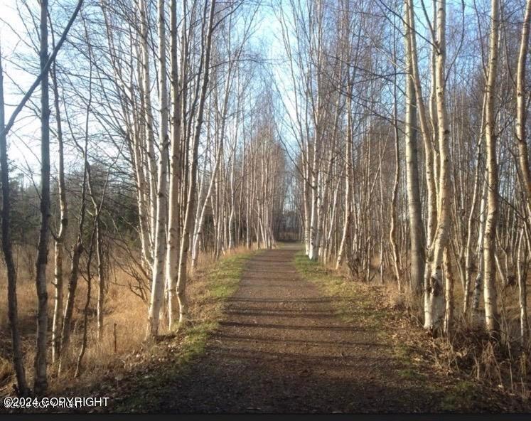 3535 Heartwood Place