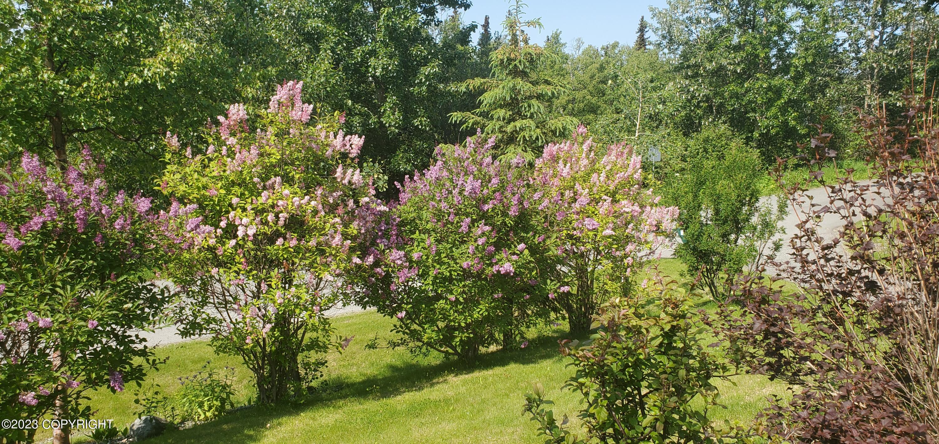 11271 Mountain Lake Drive