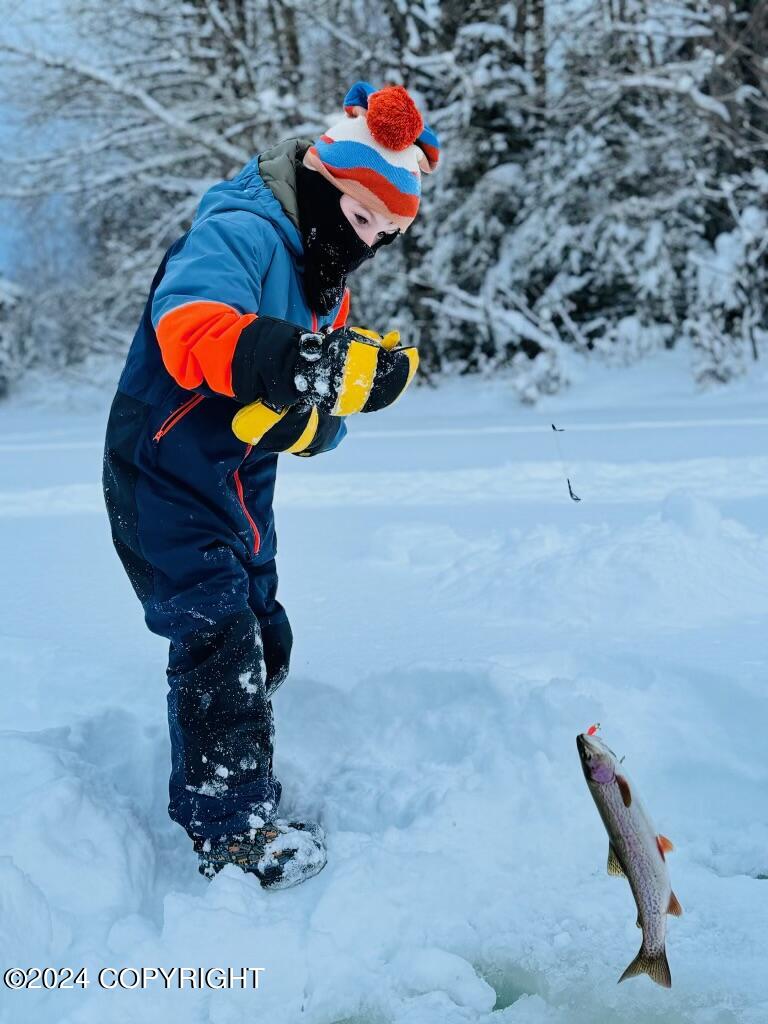 11271 Mountain Lake Drive