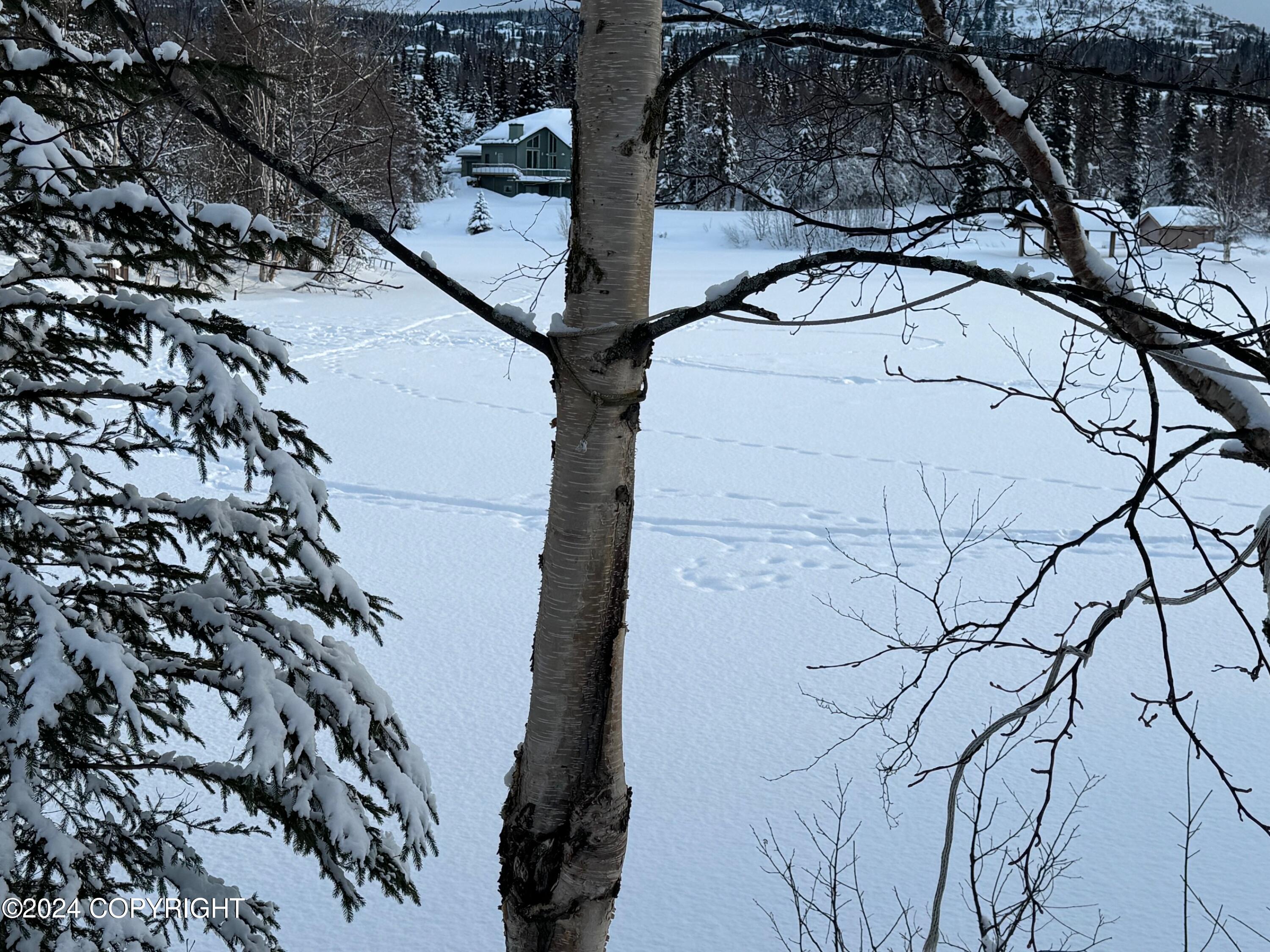 11271 Mountain Lake Drive