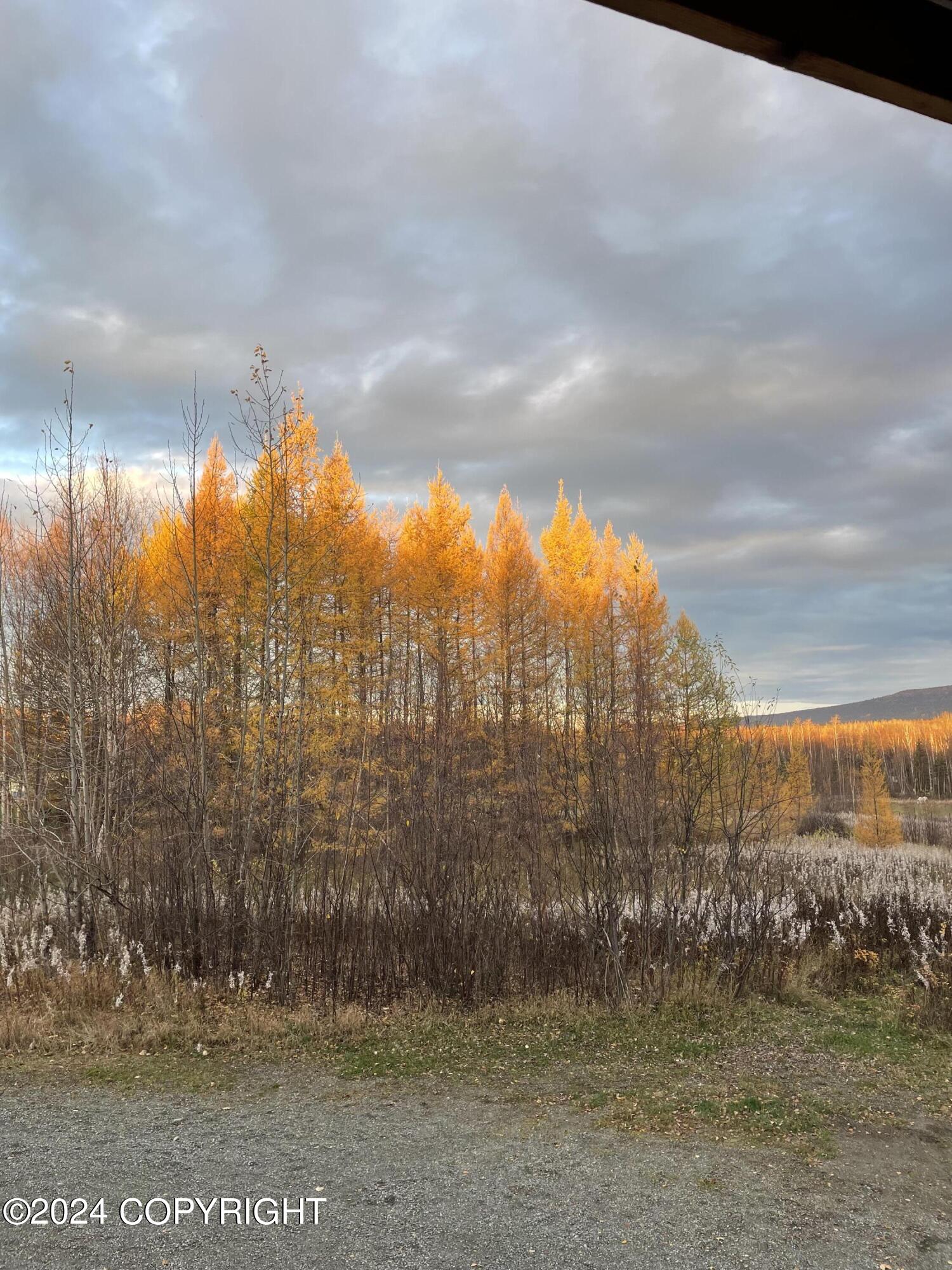 371 E Country Ridge Drive