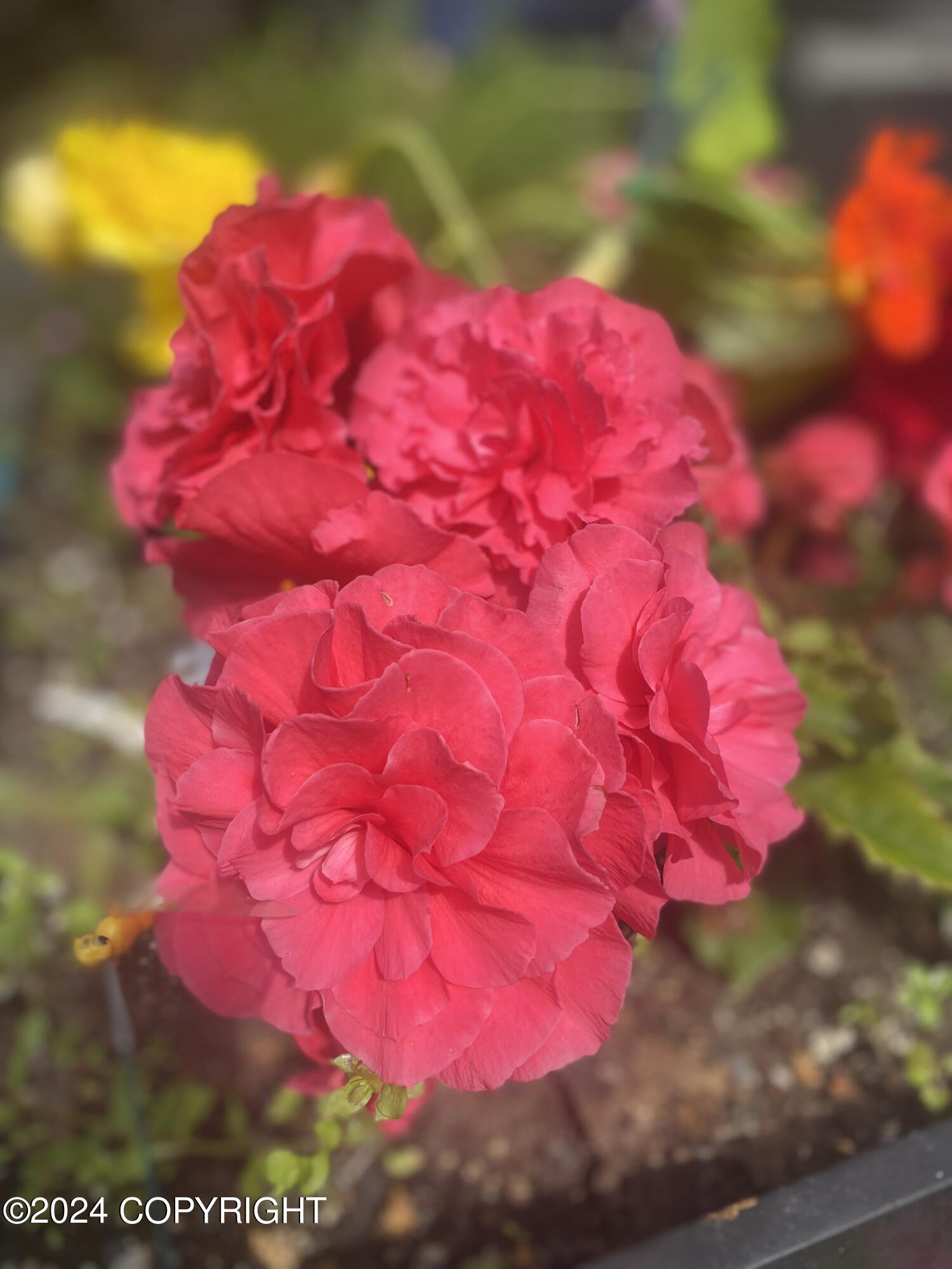 15651 Southpark Loop