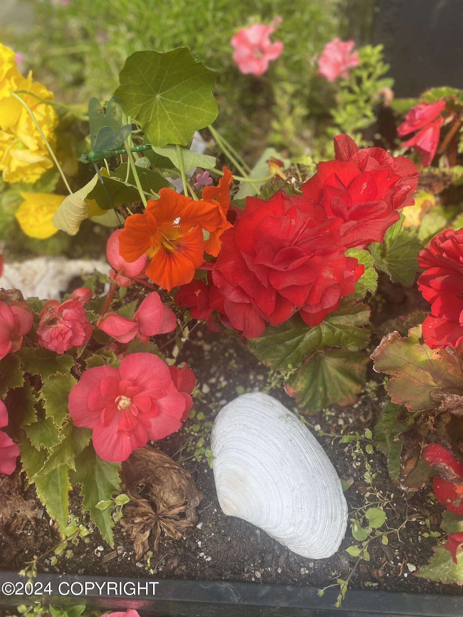 15651 Southpark Loop