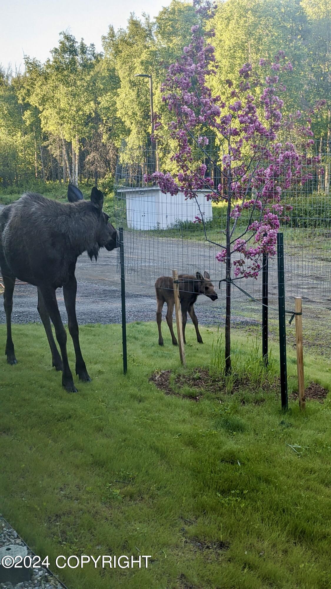 4621 E Pyrite Circle