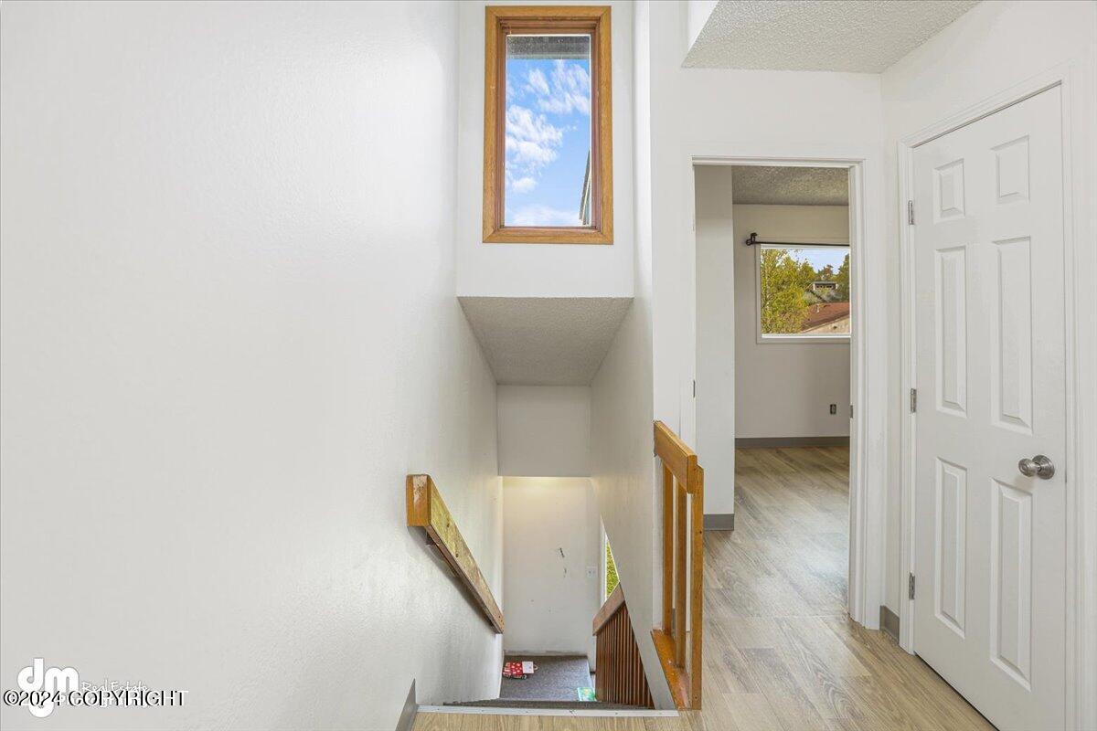1850 Bellevue Loop