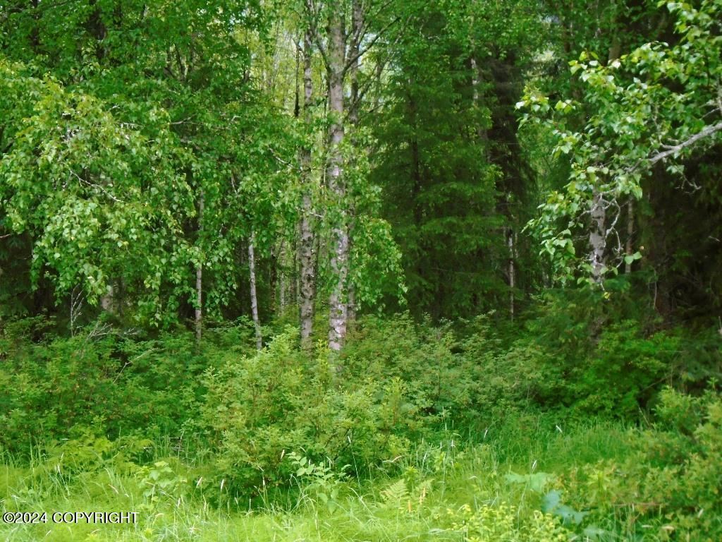 Lot 31 Ledyard Circle