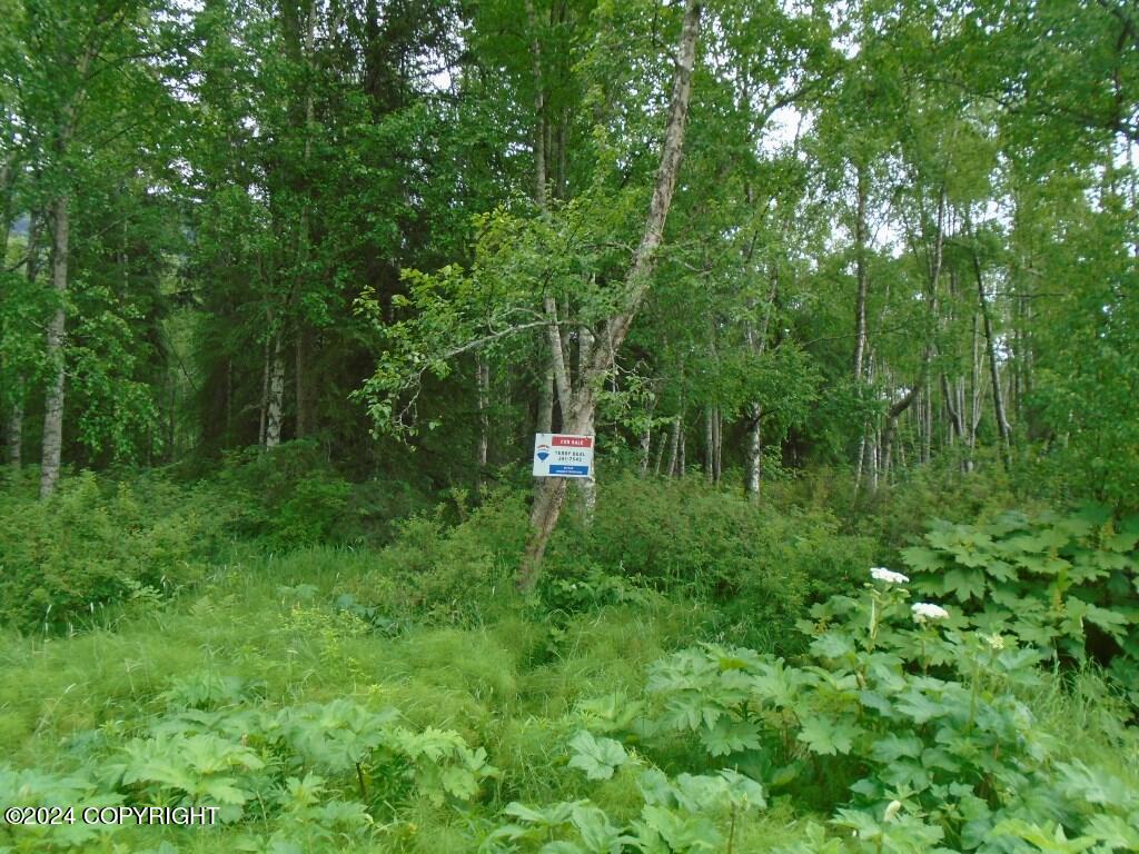 Lot 31 Ledyard Circle