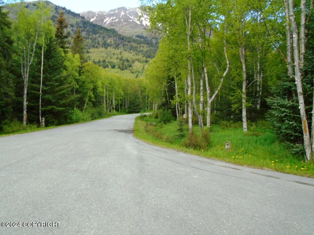 Lot 31 Ledyard Circle