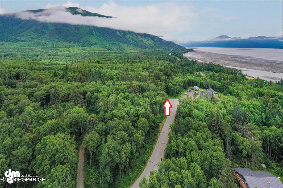 Lot 31 Ledyard Circle