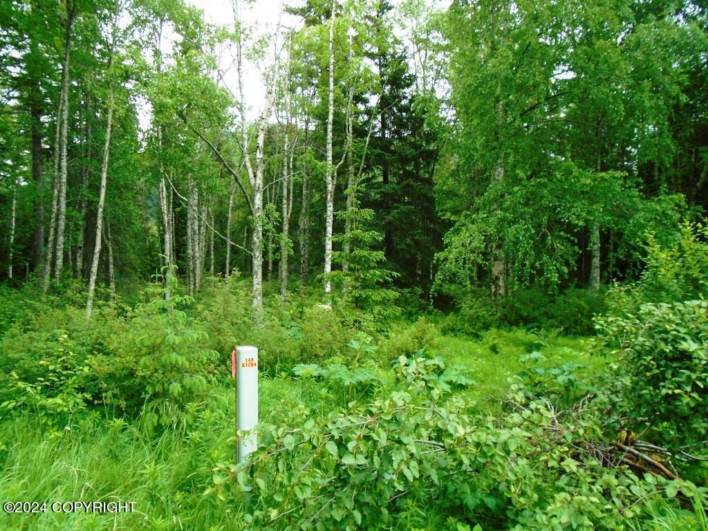 Lot 31 Ledyard Circle