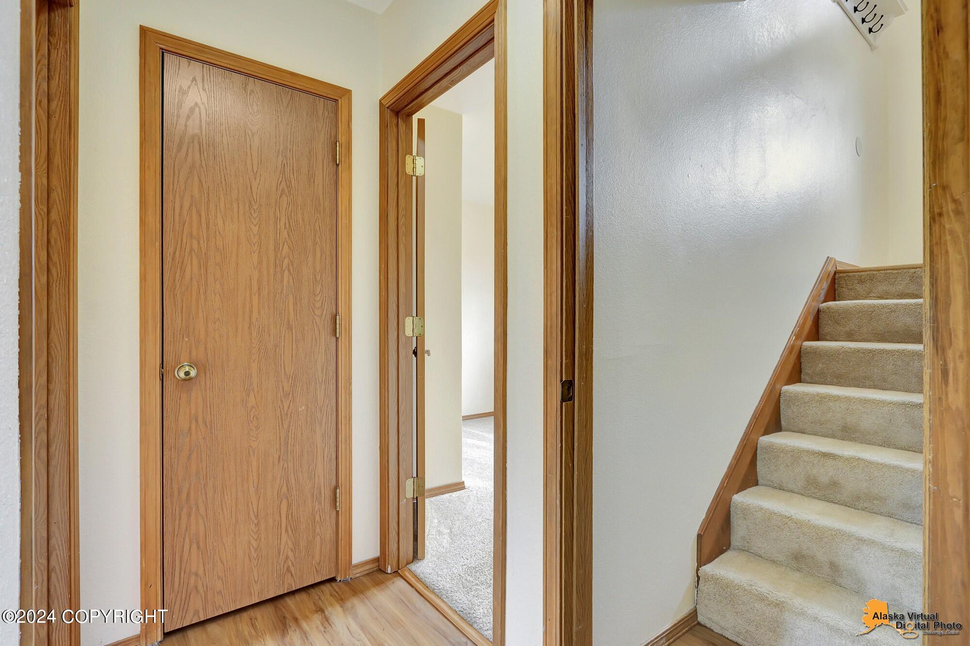 3931 Dandelion Wine Circle