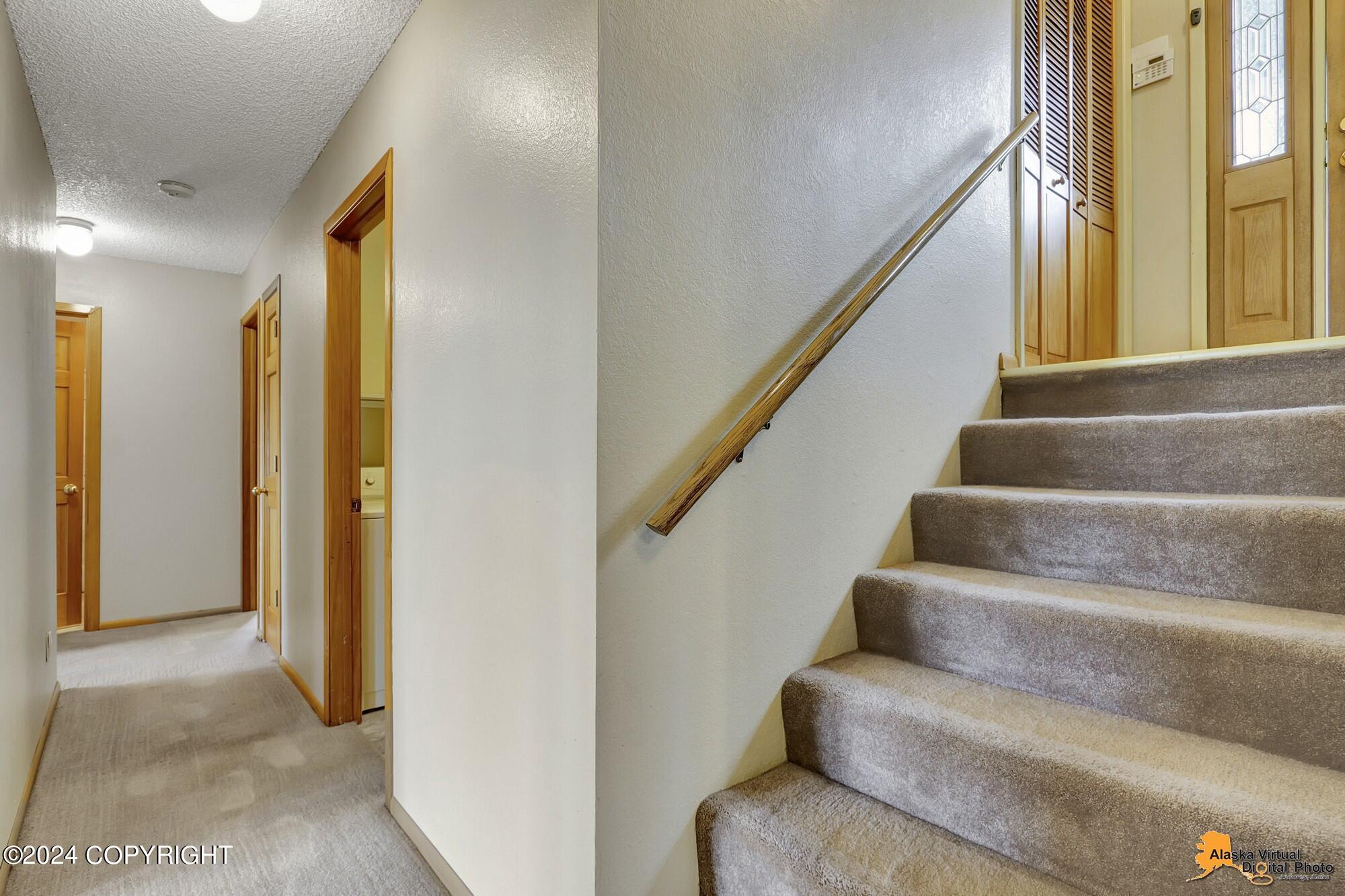 10015 Main Tree Drive