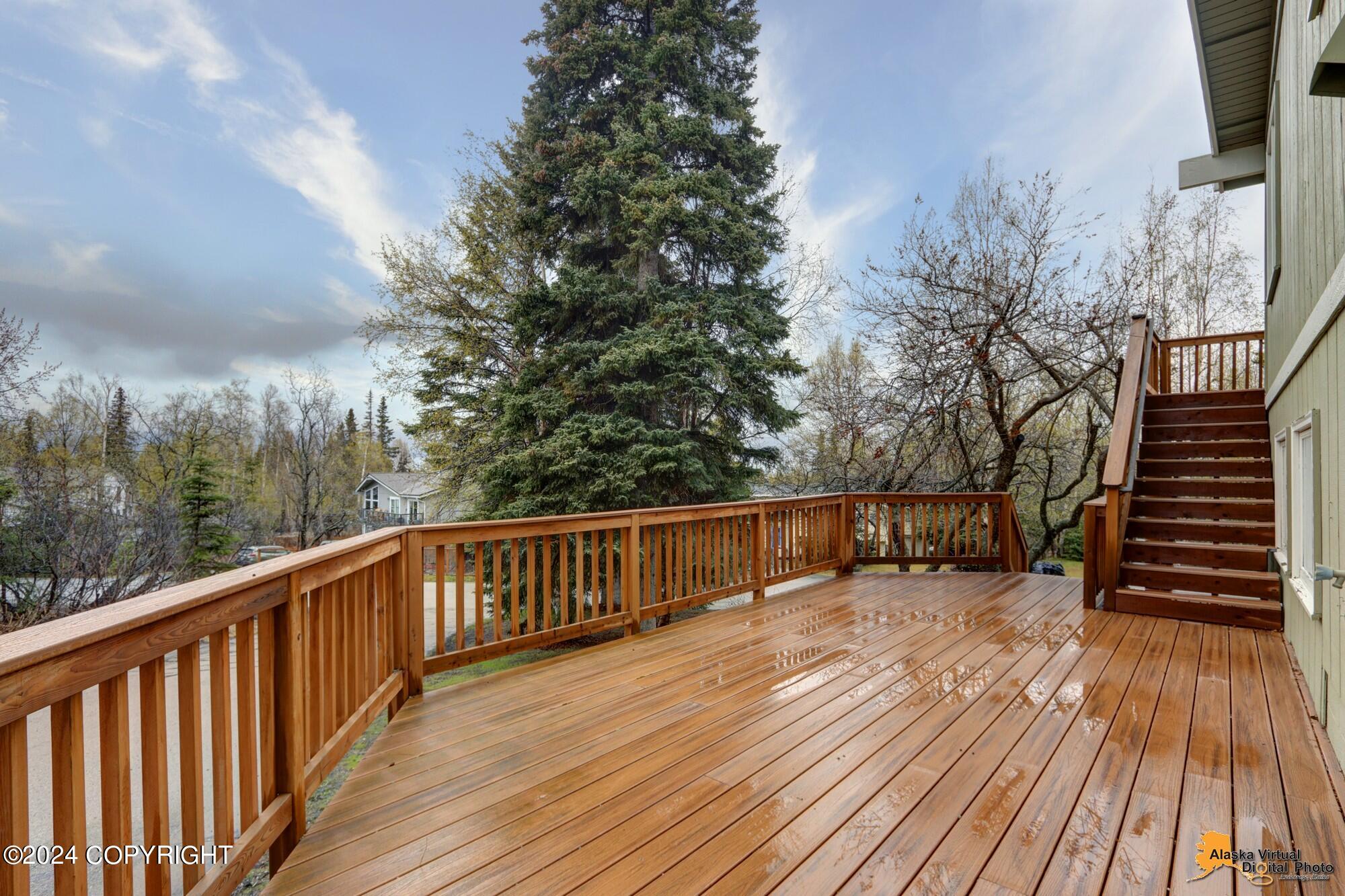 10015 Main Tree Drive