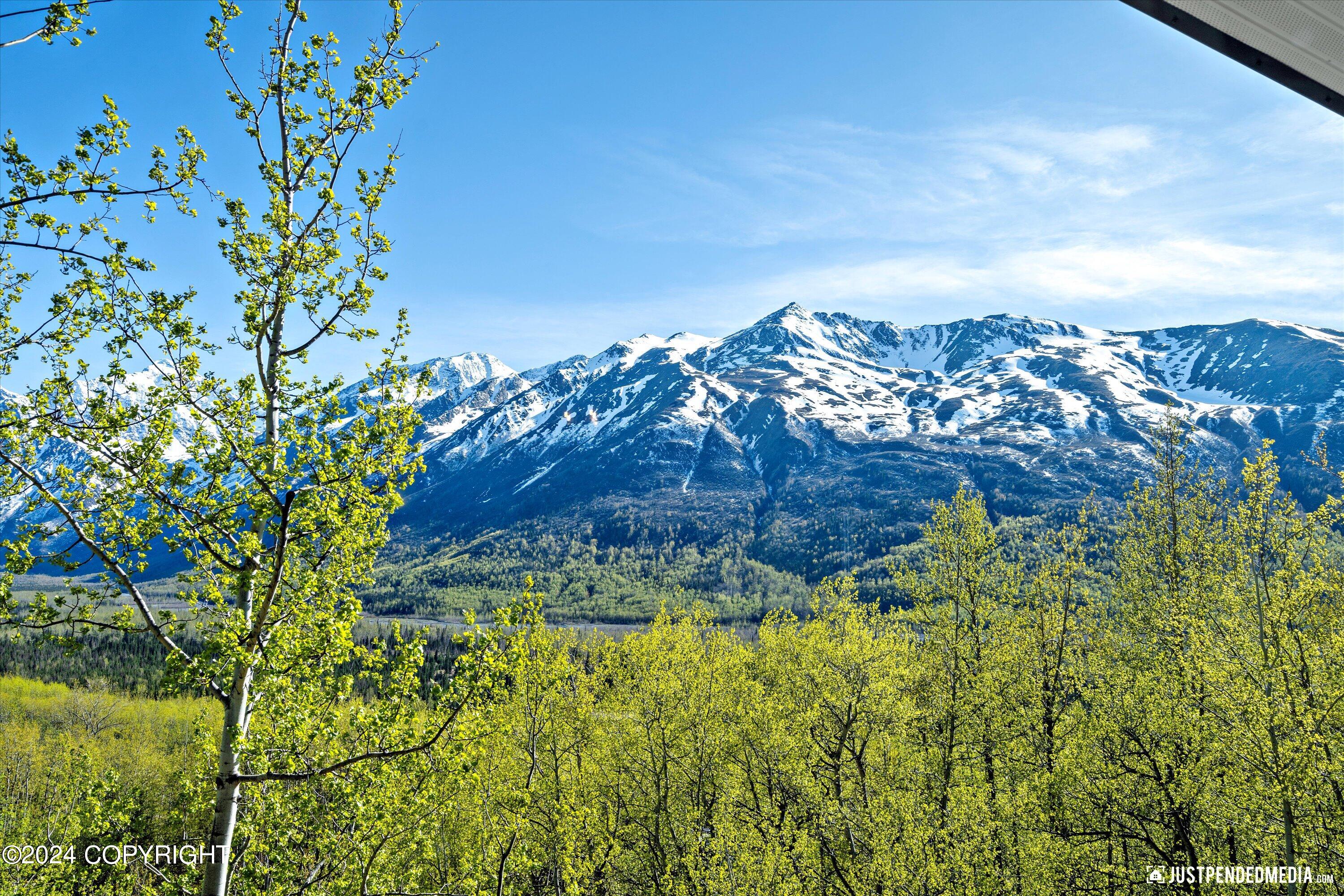 31517 Misty Mountain Circle