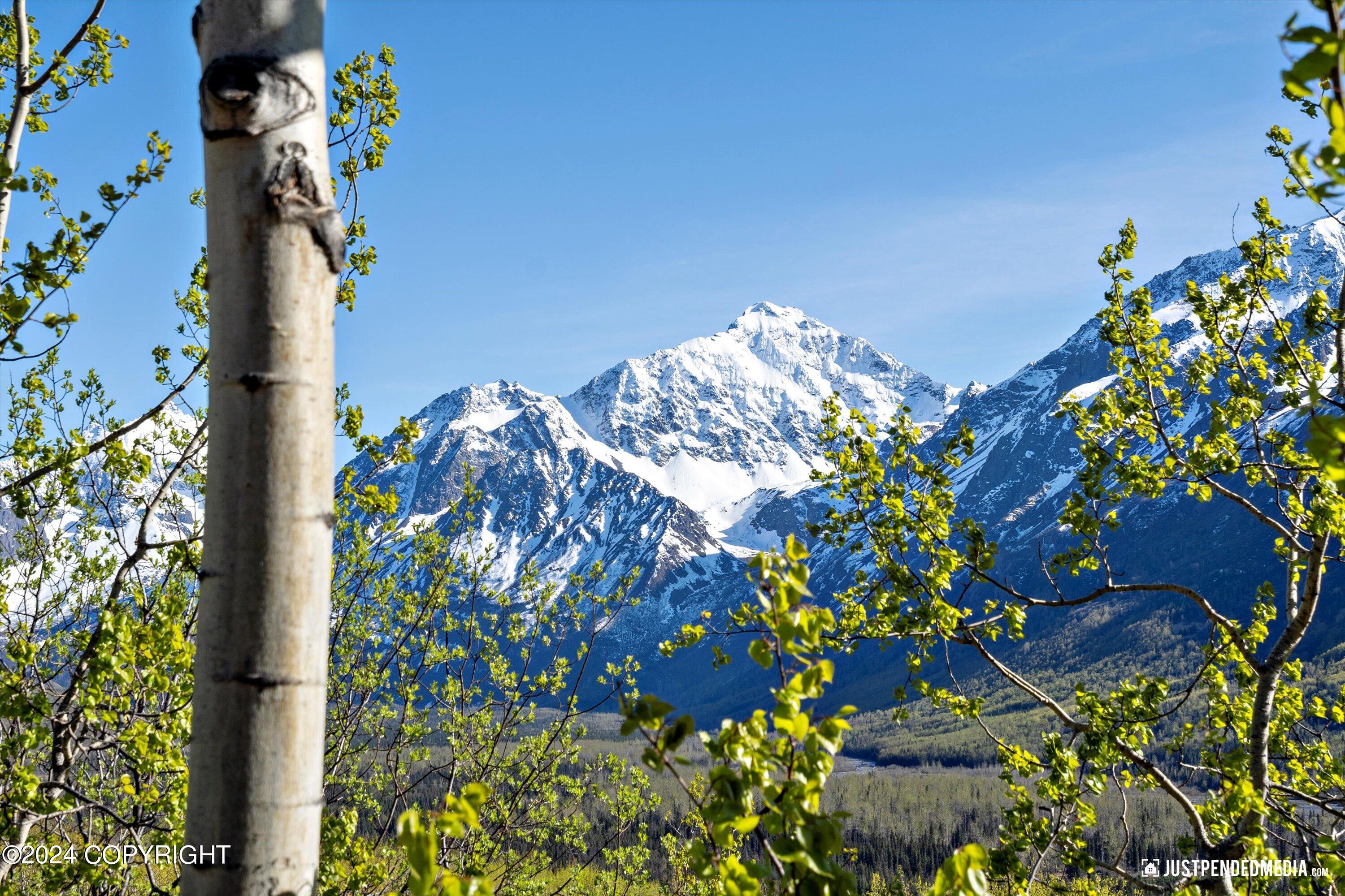 31517 Misty Mountain Circle