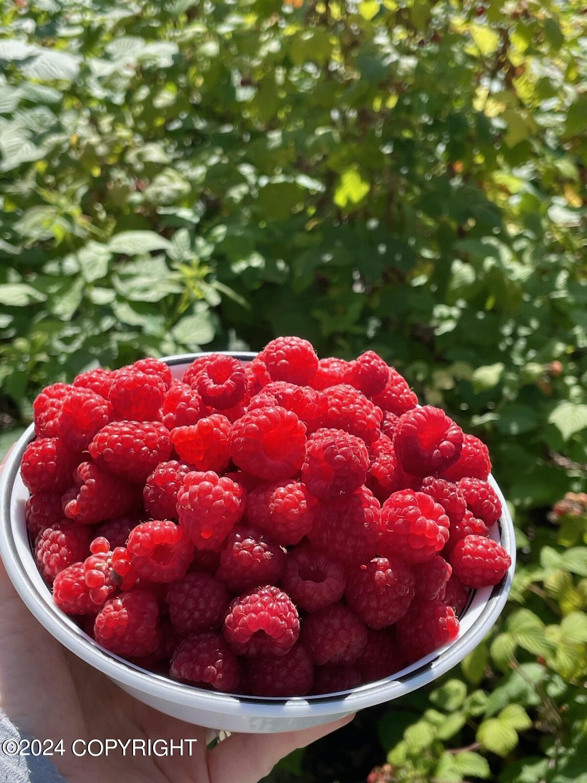 31517 Misty Mountain Circle