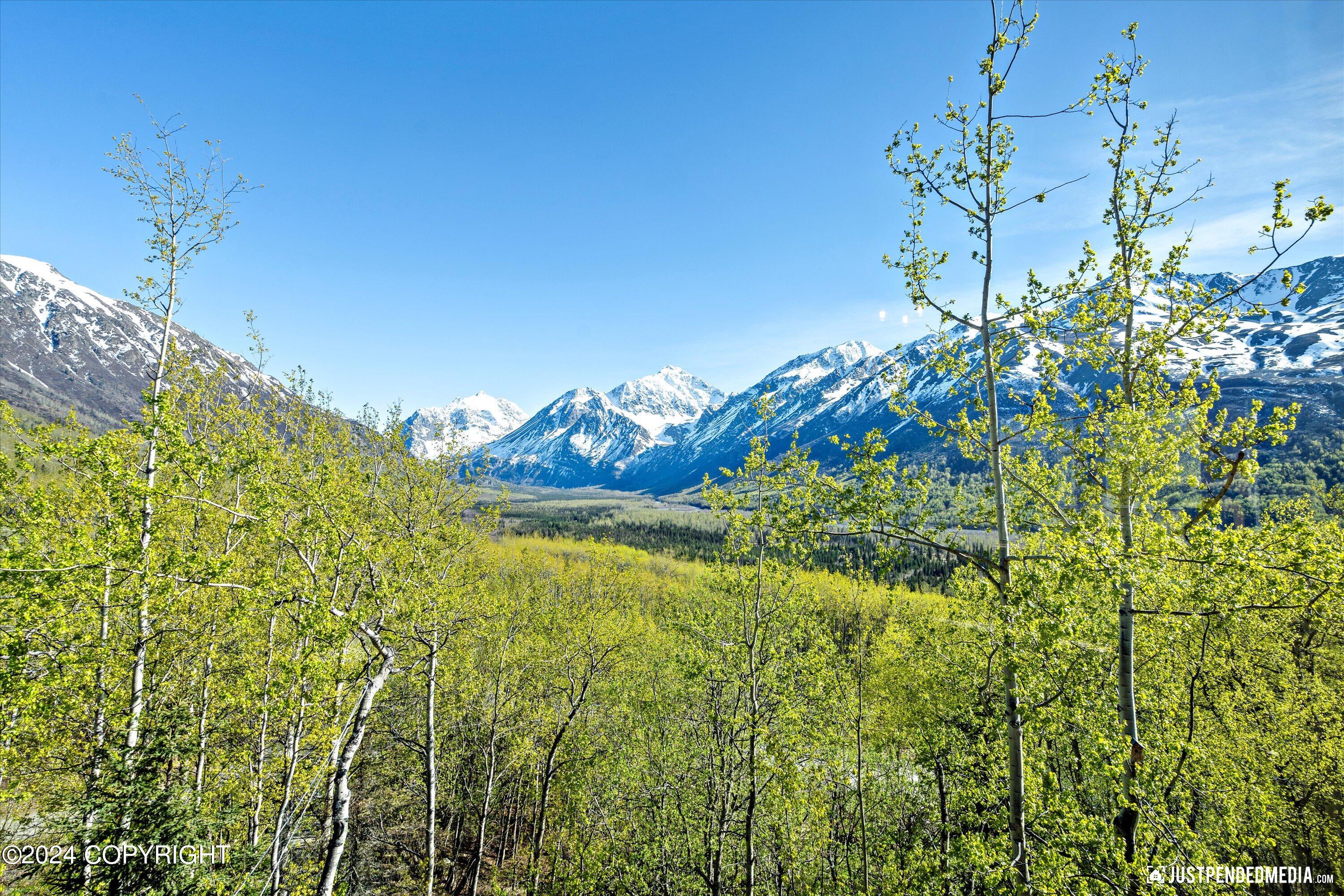 31517 Misty Mountain Circle