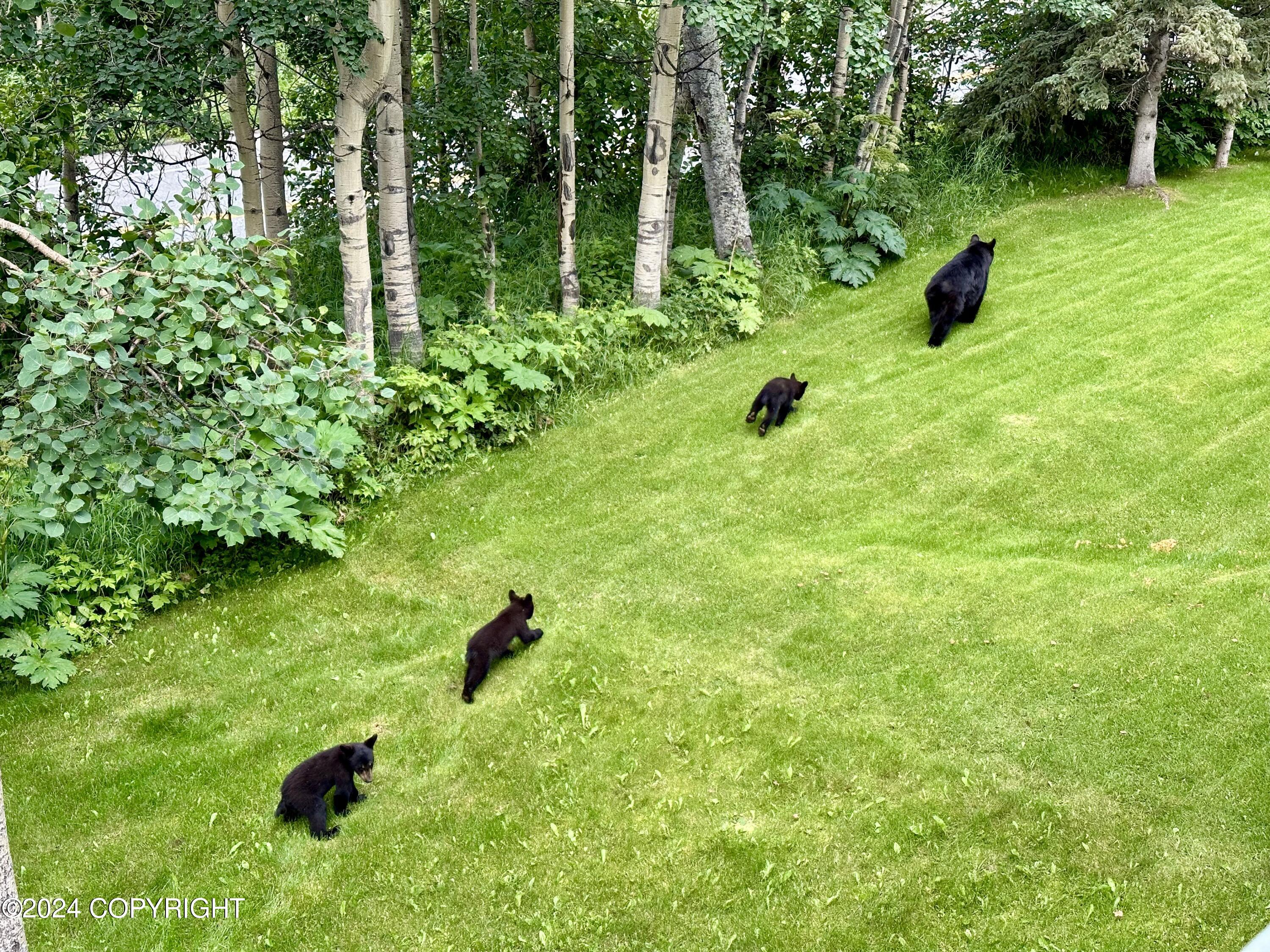 18632 Guillemot Circle