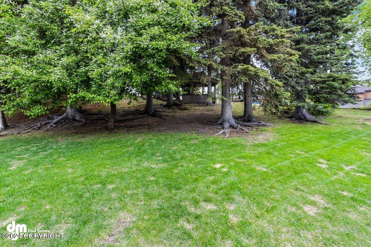 6520 Lakeway Drive