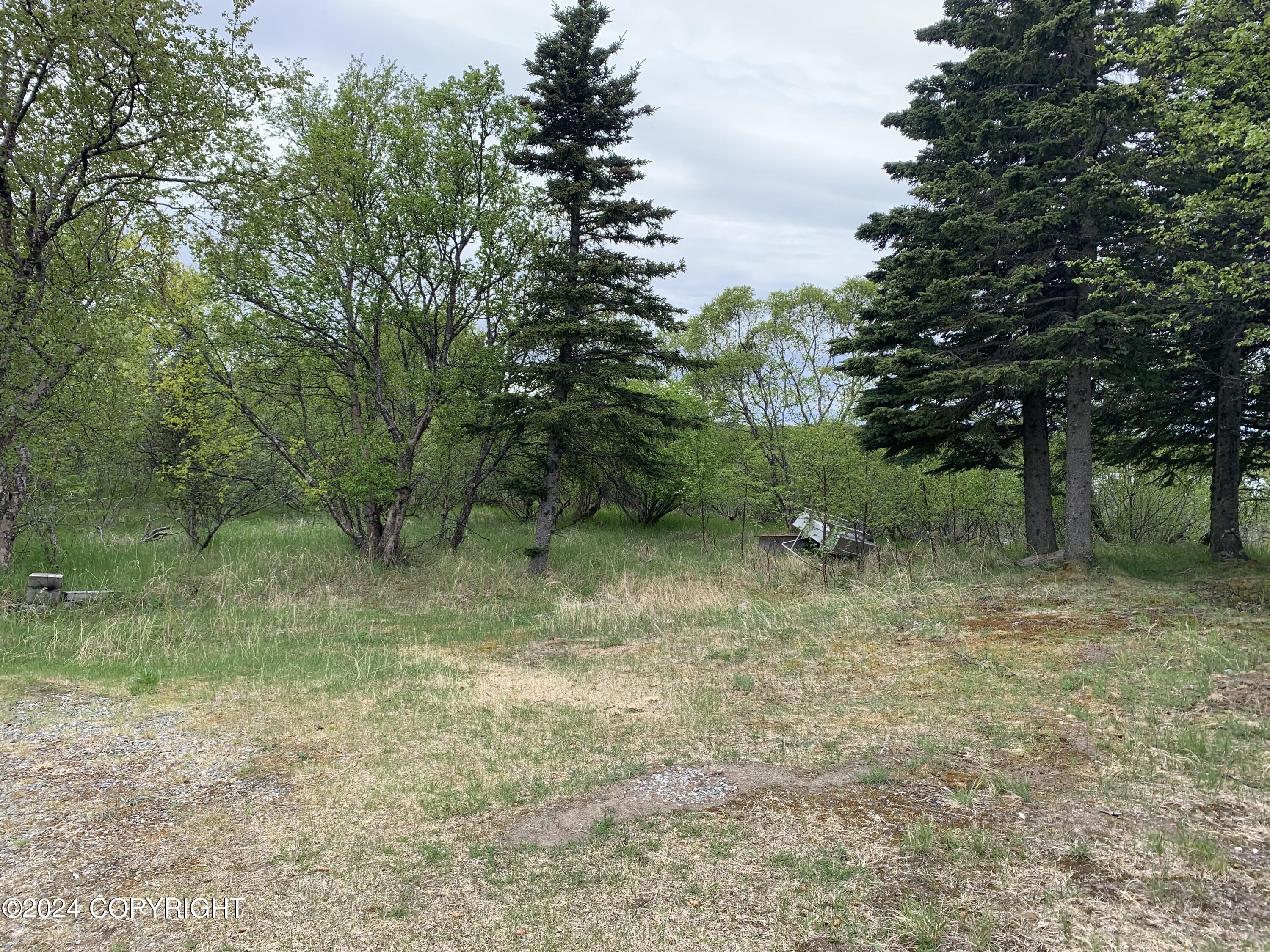 92 Woodbine Drive