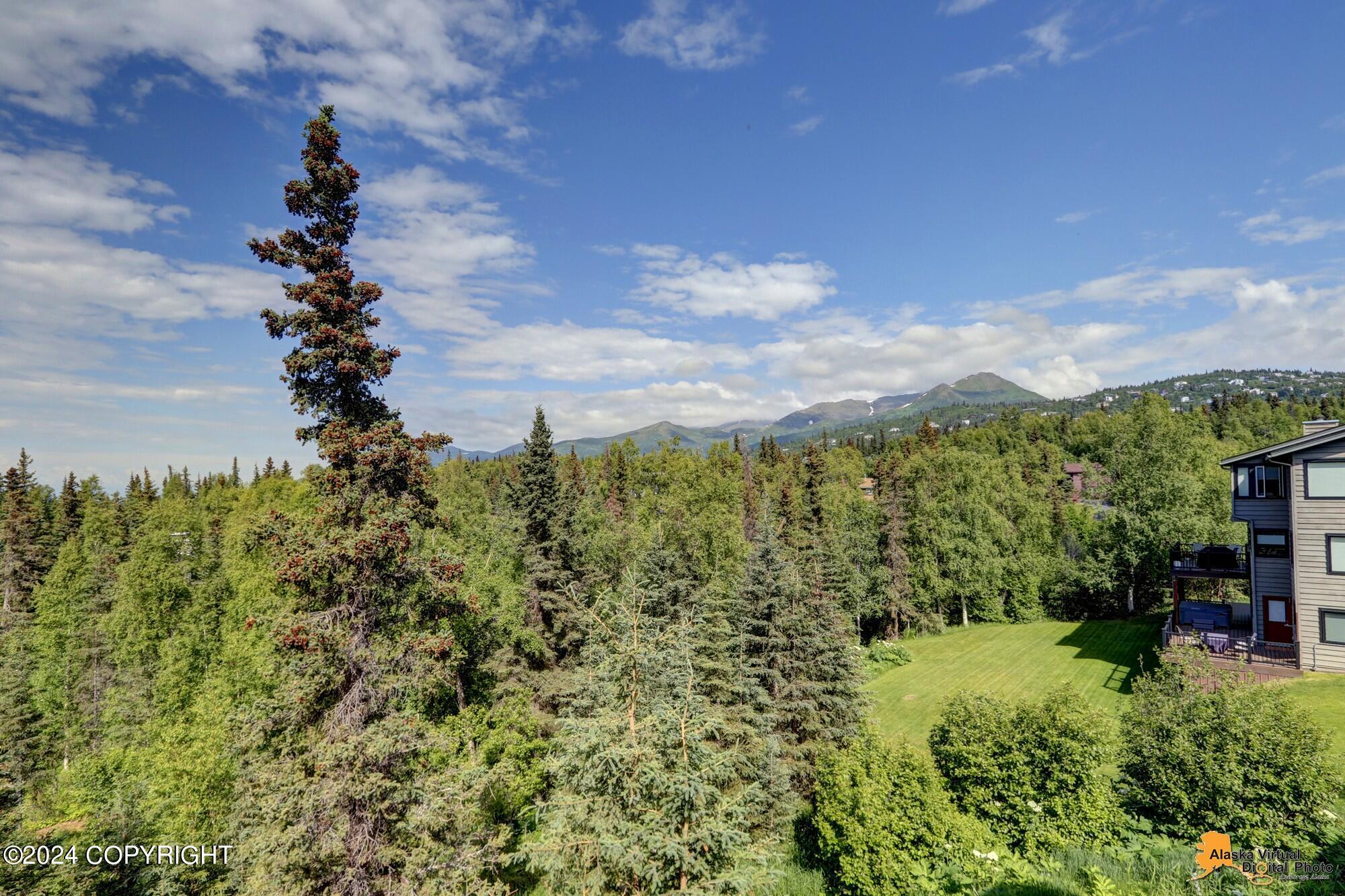 7081 Crooked Tree Drive