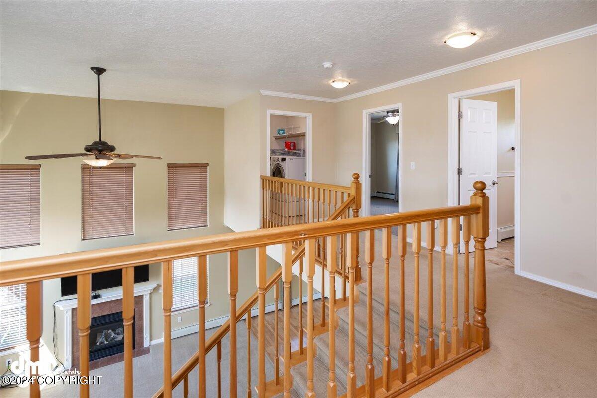 13521 Vasili Drive Drive