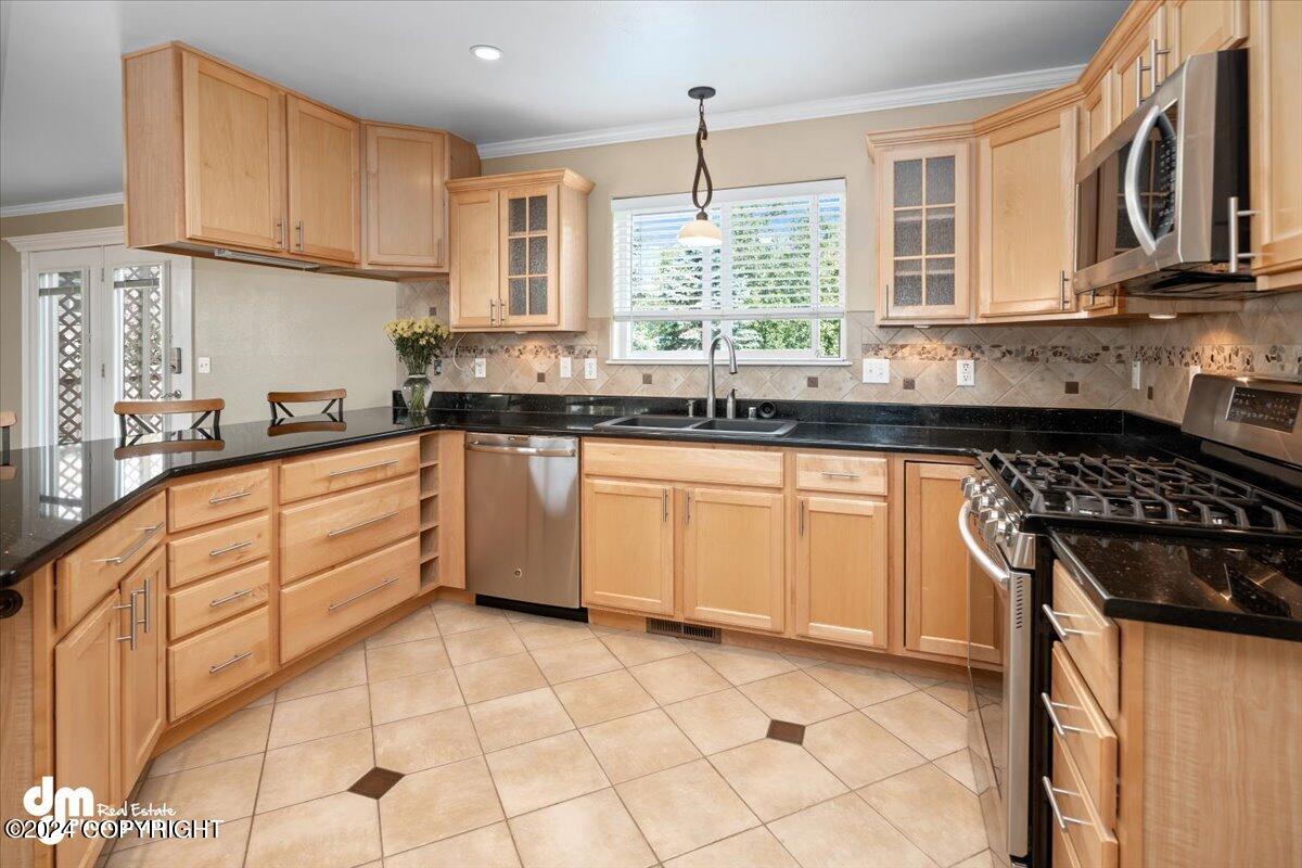 13521 Vasili Drive Drive