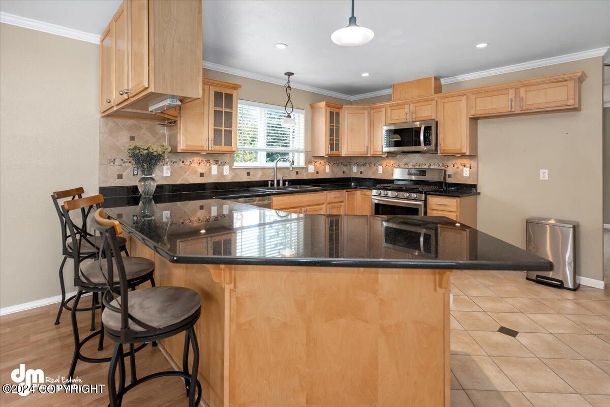 13521 Vasili Drive Drive