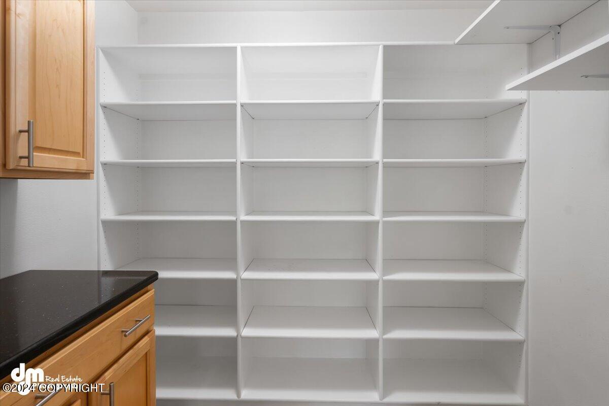 13521 Vasili Drive Drive