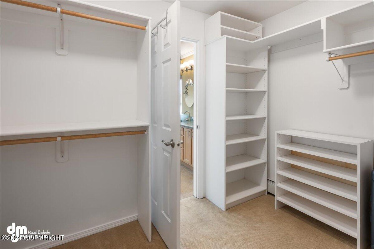 13521 Vasili Drive Drive