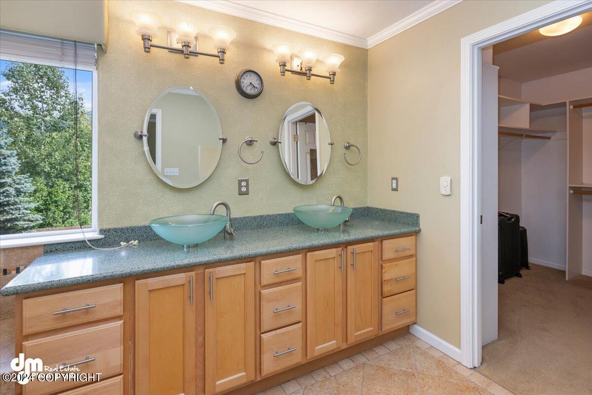 13521 Vasili Drive Drive