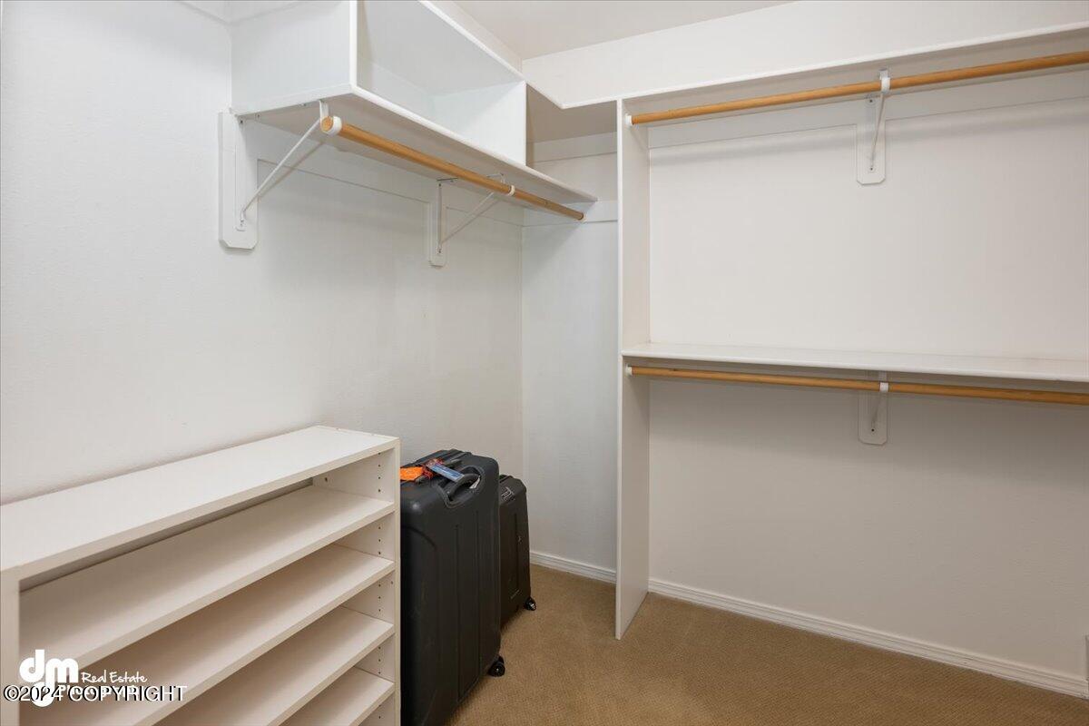 13521 Vasili Drive Drive