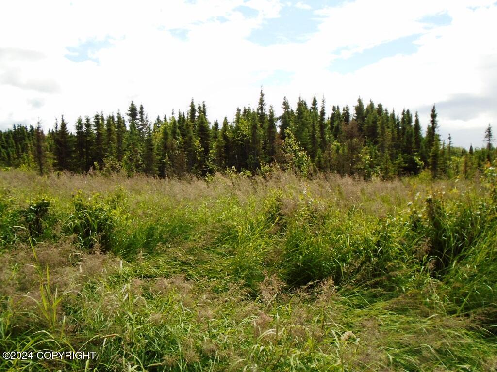Lot 1 W 92nd Avenue